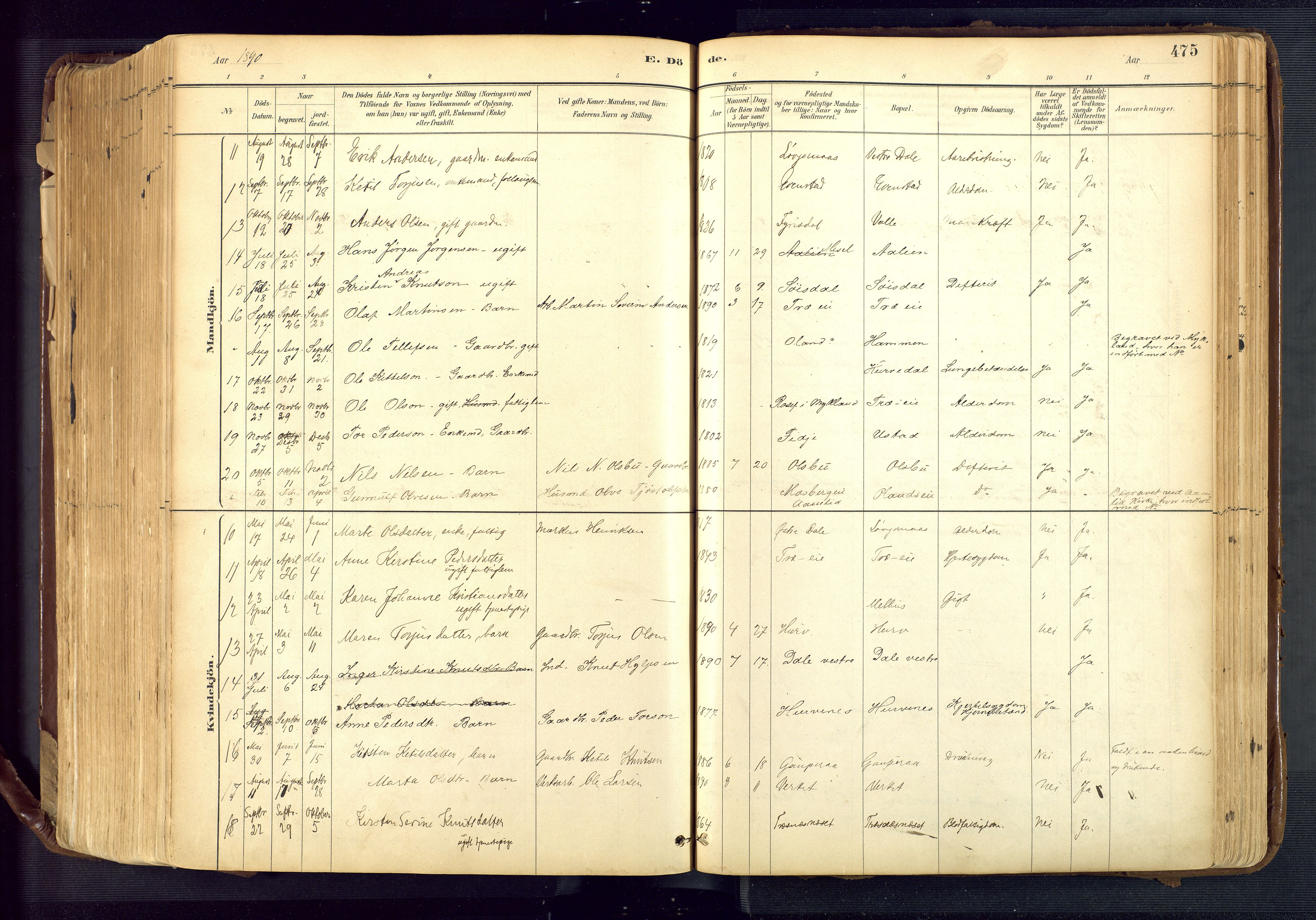 Froland sokneprestkontor, SAK/1111-0013/F/Fa/L0005: Parish register (official) no. A 5, 1882-1921, p. 475