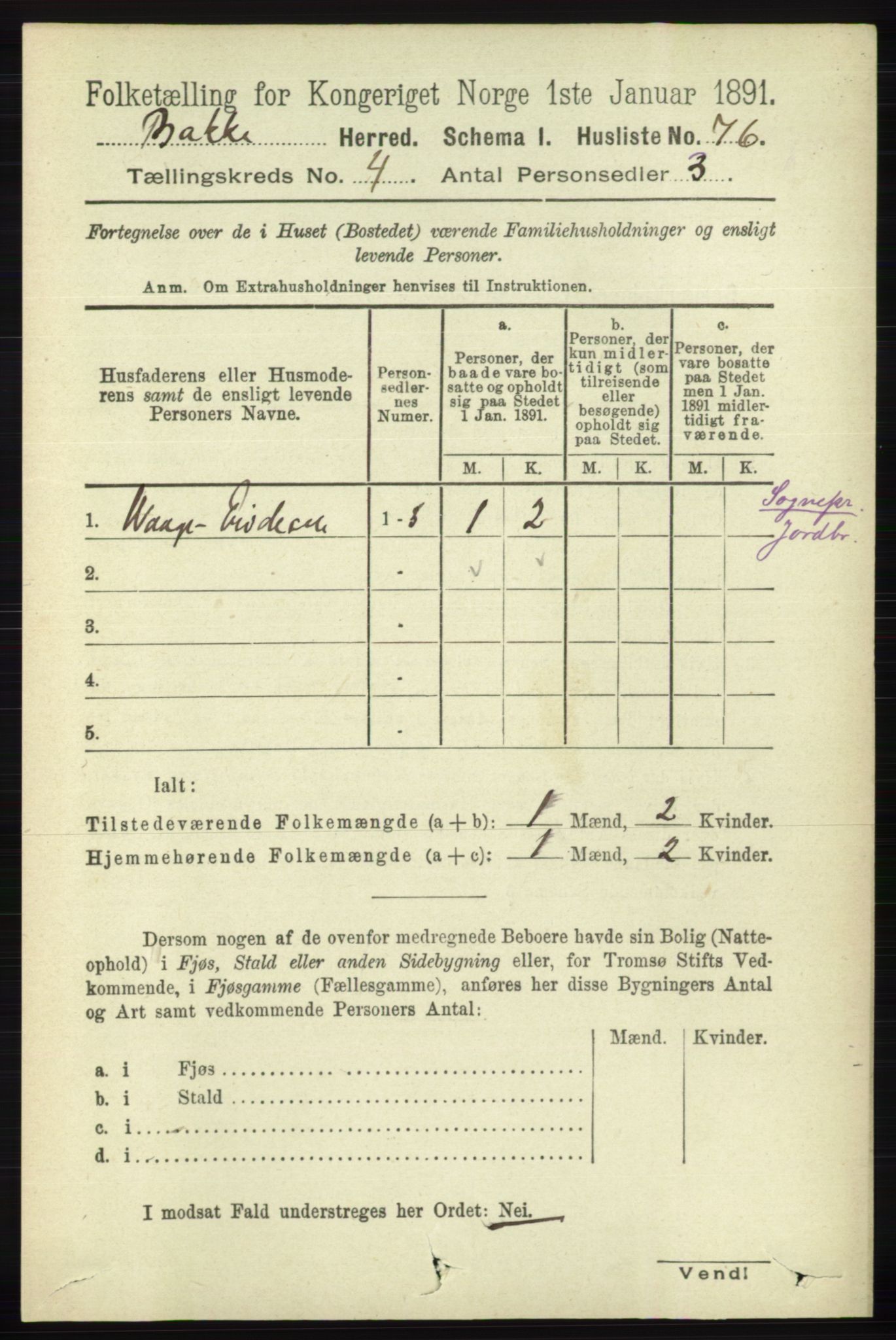 RA, 1891 census for 1045 Bakke, 1891, p. 619