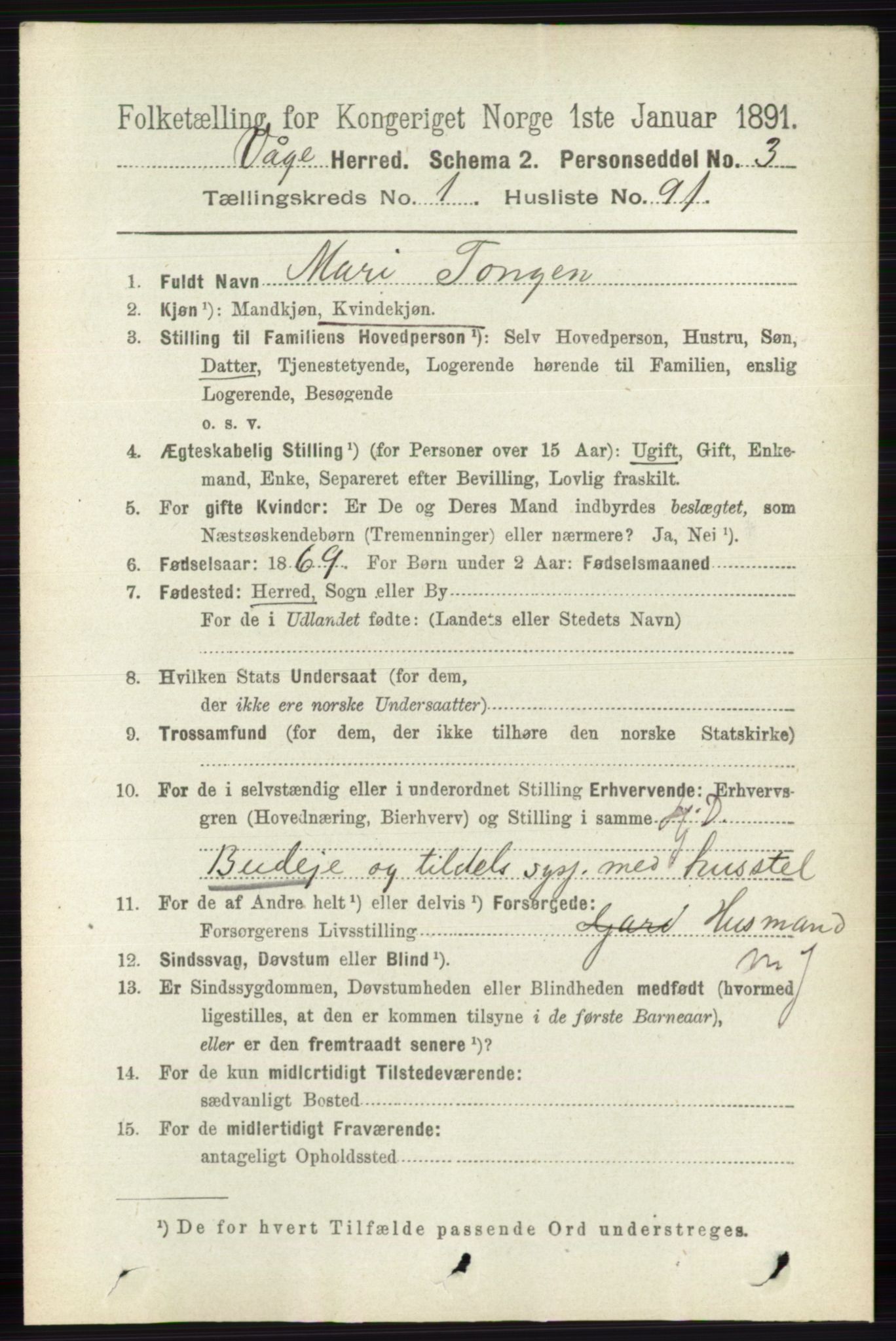 RA, 1891 census for 0515 Vågå, 1891, p. 730