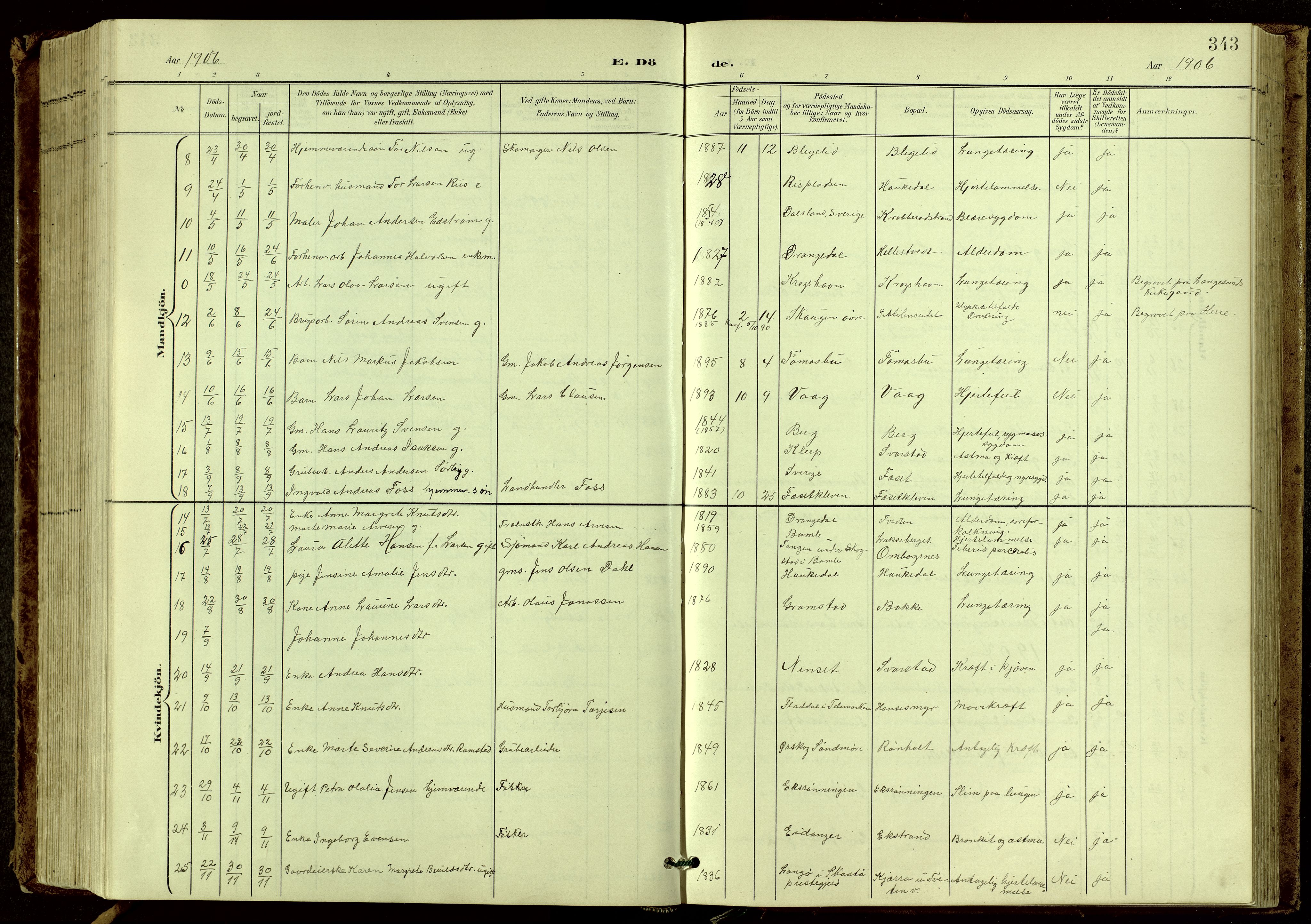 Bamble kirkebøker, SAKO/A-253/G/Ga/L0010: Parish register (copy) no. I 10, 1901-1919, p. 343