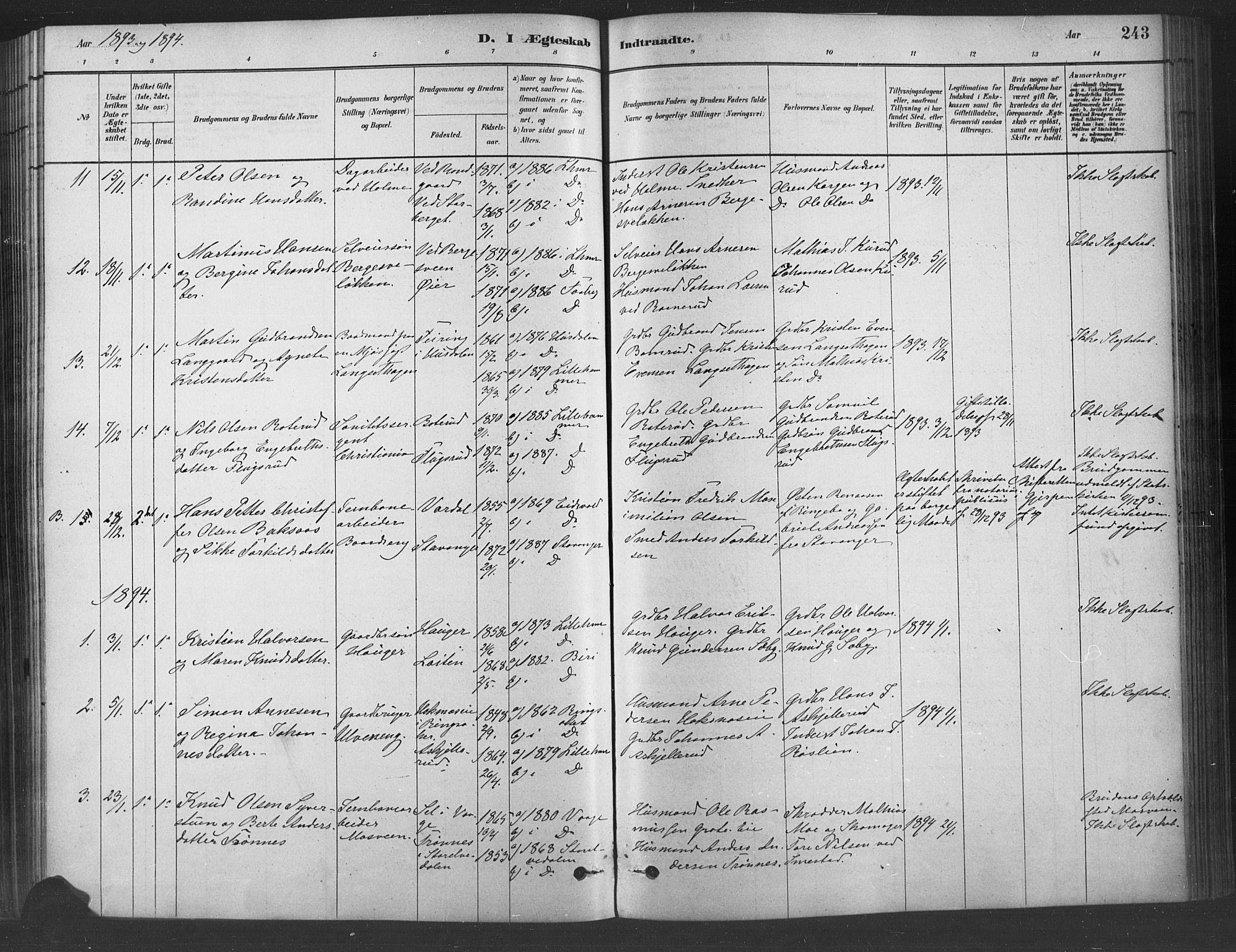 Fåberg prestekontor, SAH/PREST-086/H/Ha/Haa/L0009: Parish register (official) no. 9, 1879-1898, p. 243