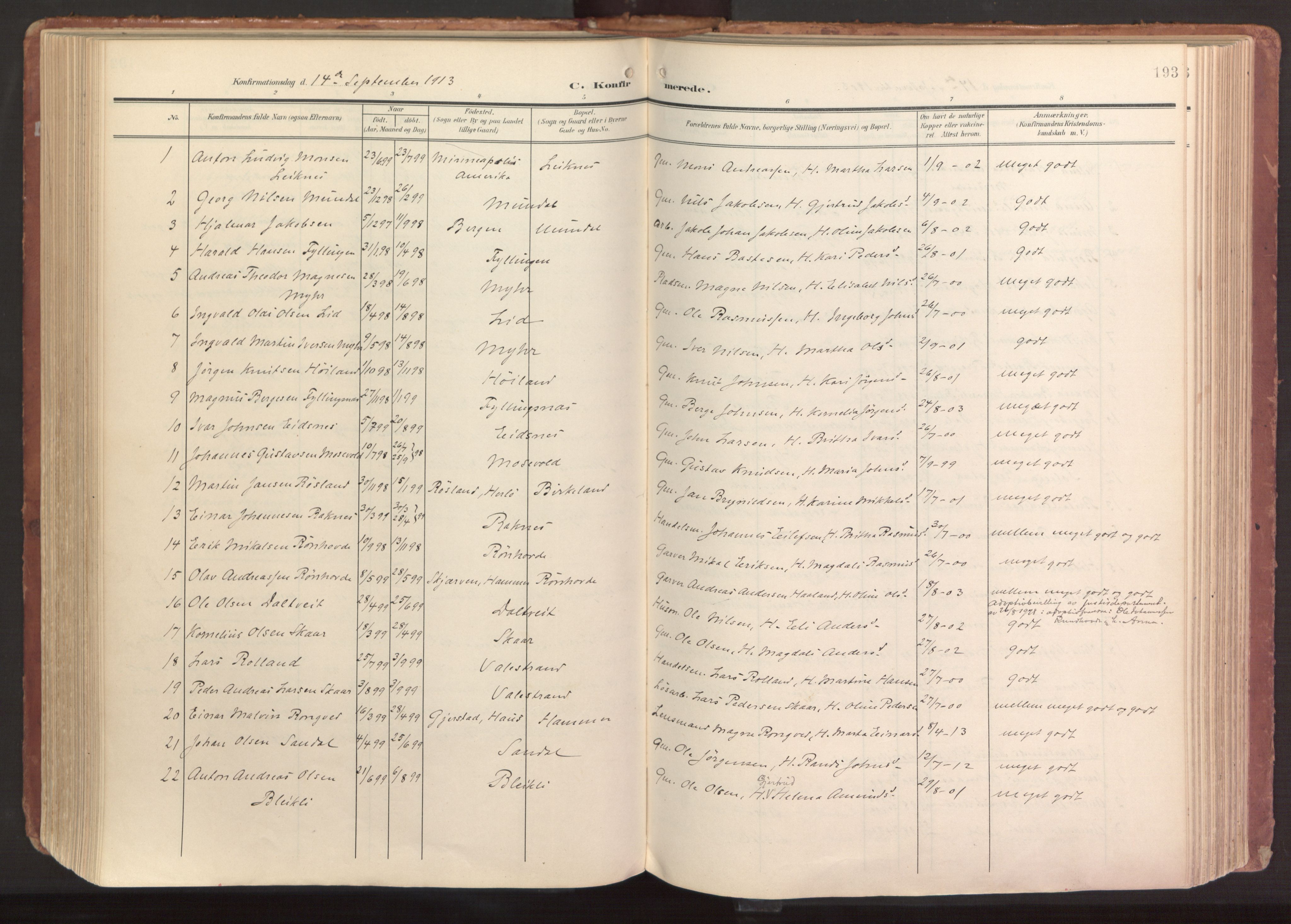Hamre sokneprestembete, SAB/A-75501/H/Ha/Haa/Haab/L0002: Parish register (official) no. B 2, 1905-1924, p. 193