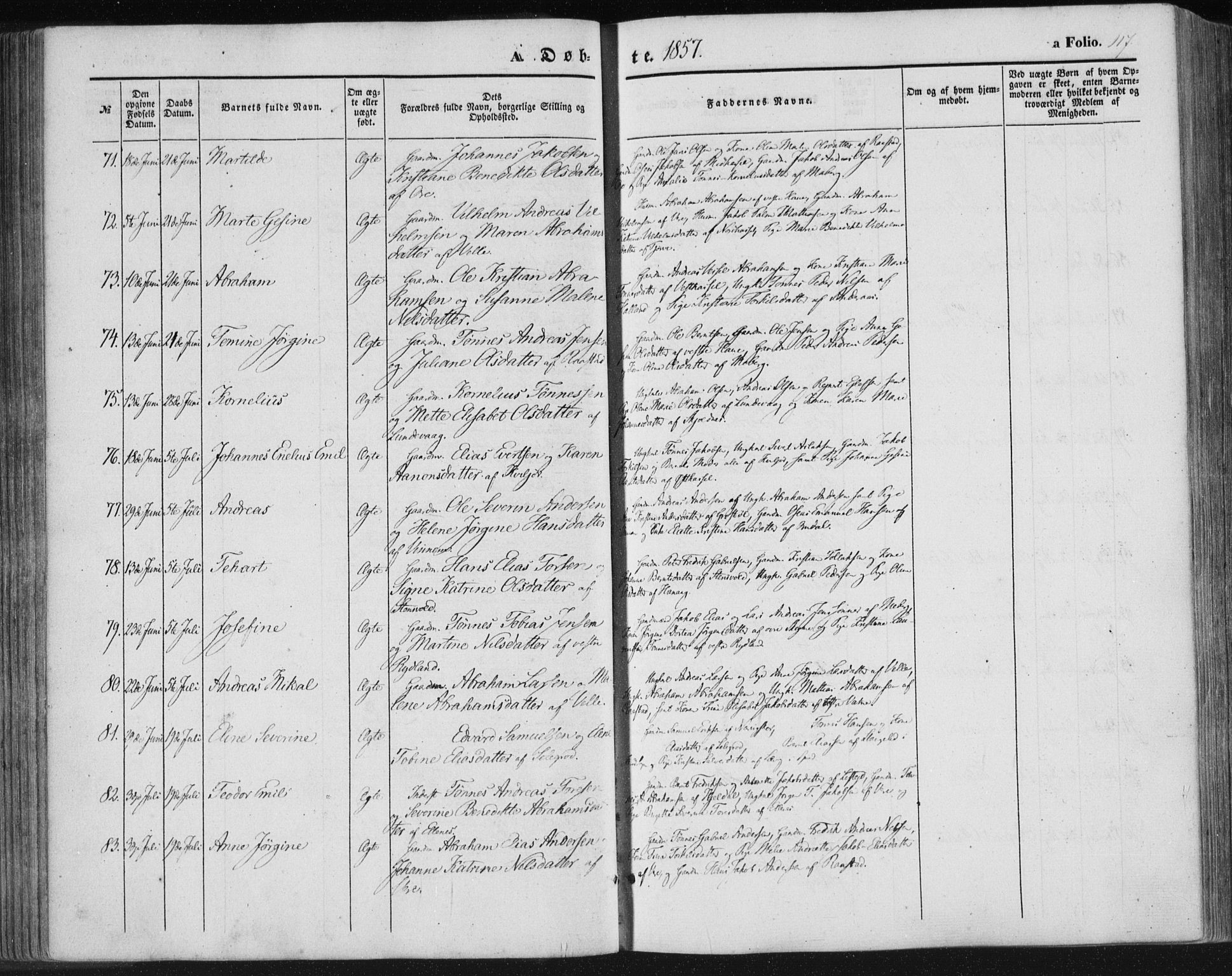 Lista sokneprestkontor, AV/SAK-1111-0027/F/Fa/L0010: Parish register (official) no. A 10, 1846-1861, p. 117