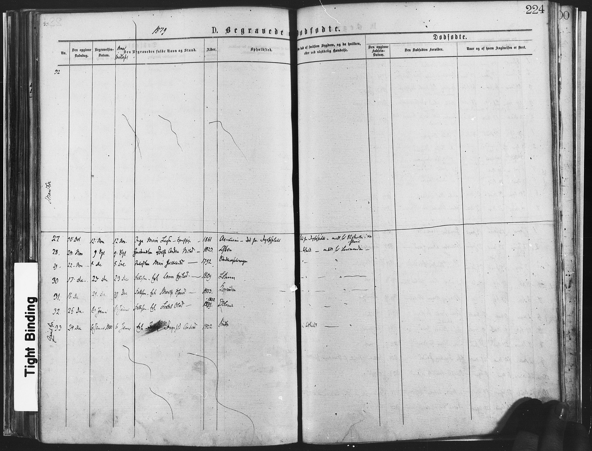 Nannestad prestekontor Kirkebøker, AV/SAO-A-10414a/F/Fa/L0013: Parish register (official) no. I 13, 1873-1880, p. 224