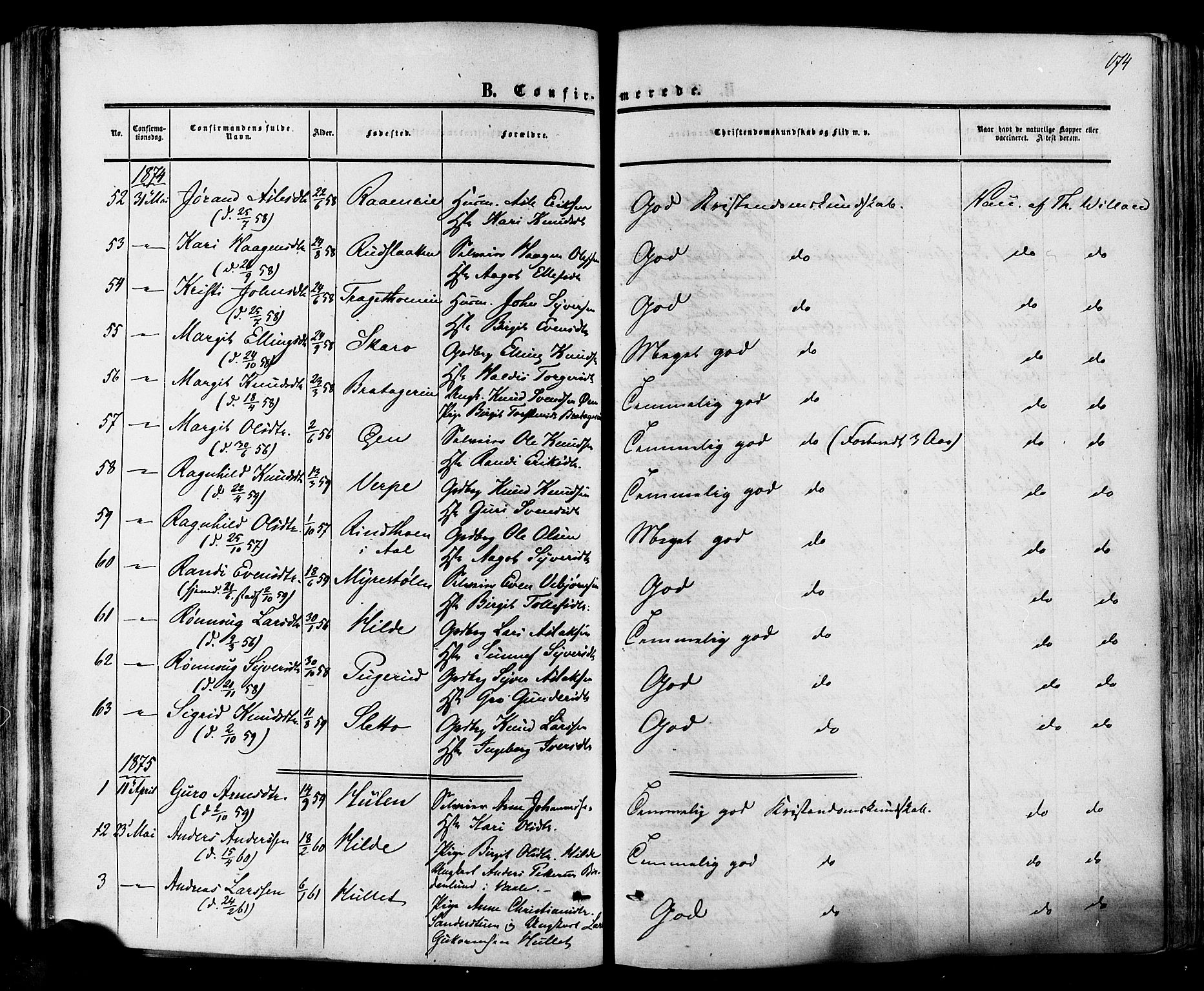 Hol kirkebøker, AV/SAKO-A-227/F/Fa/L0002: Parish register (official) no. I 2, 1870-1886, p. 174