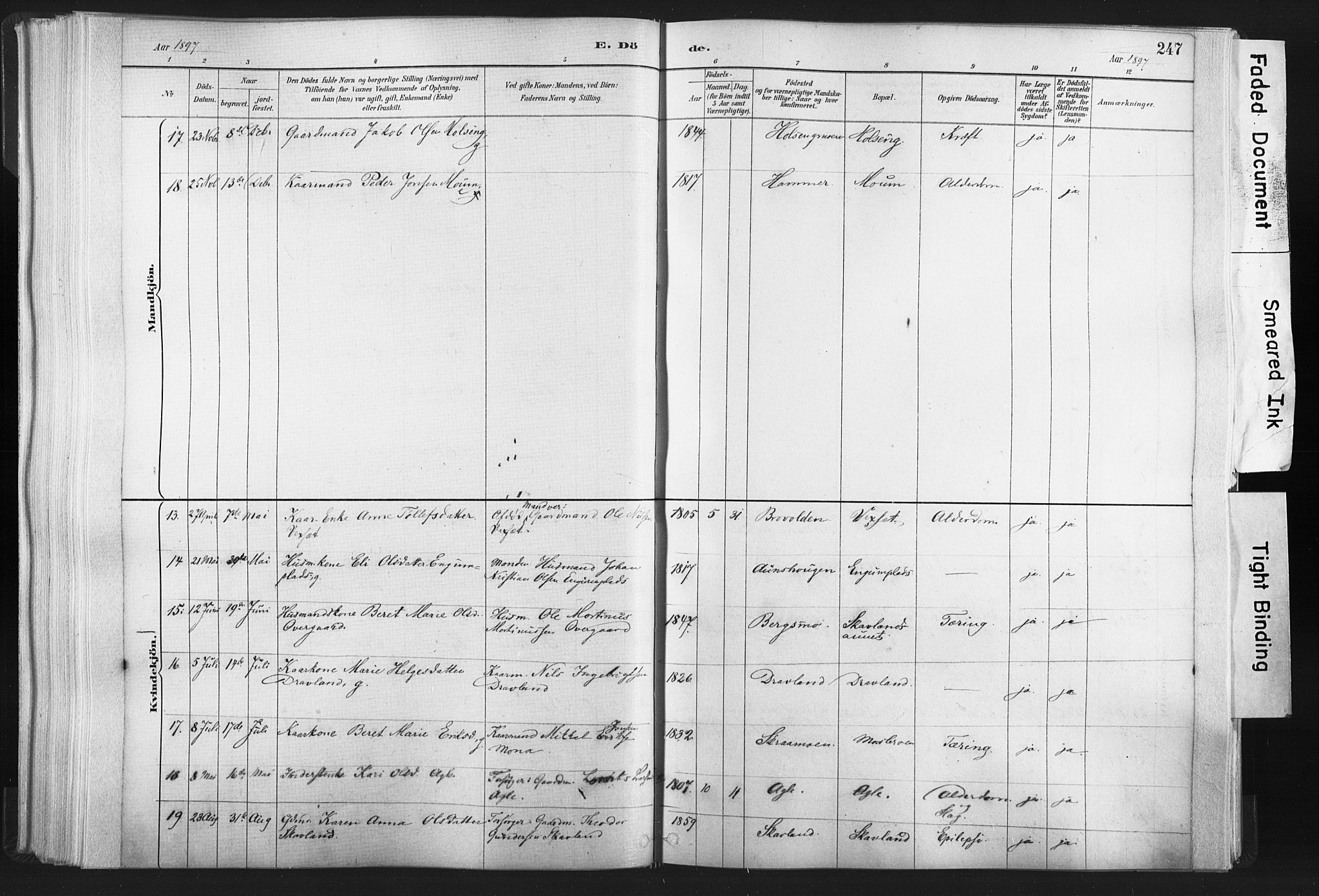 Ministerialprotokoller, klokkerbøker og fødselsregistre - Nord-Trøndelag, AV/SAT-A-1458/749/L0474: Parish register (official) no. 749A08, 1887-1903, p. 247