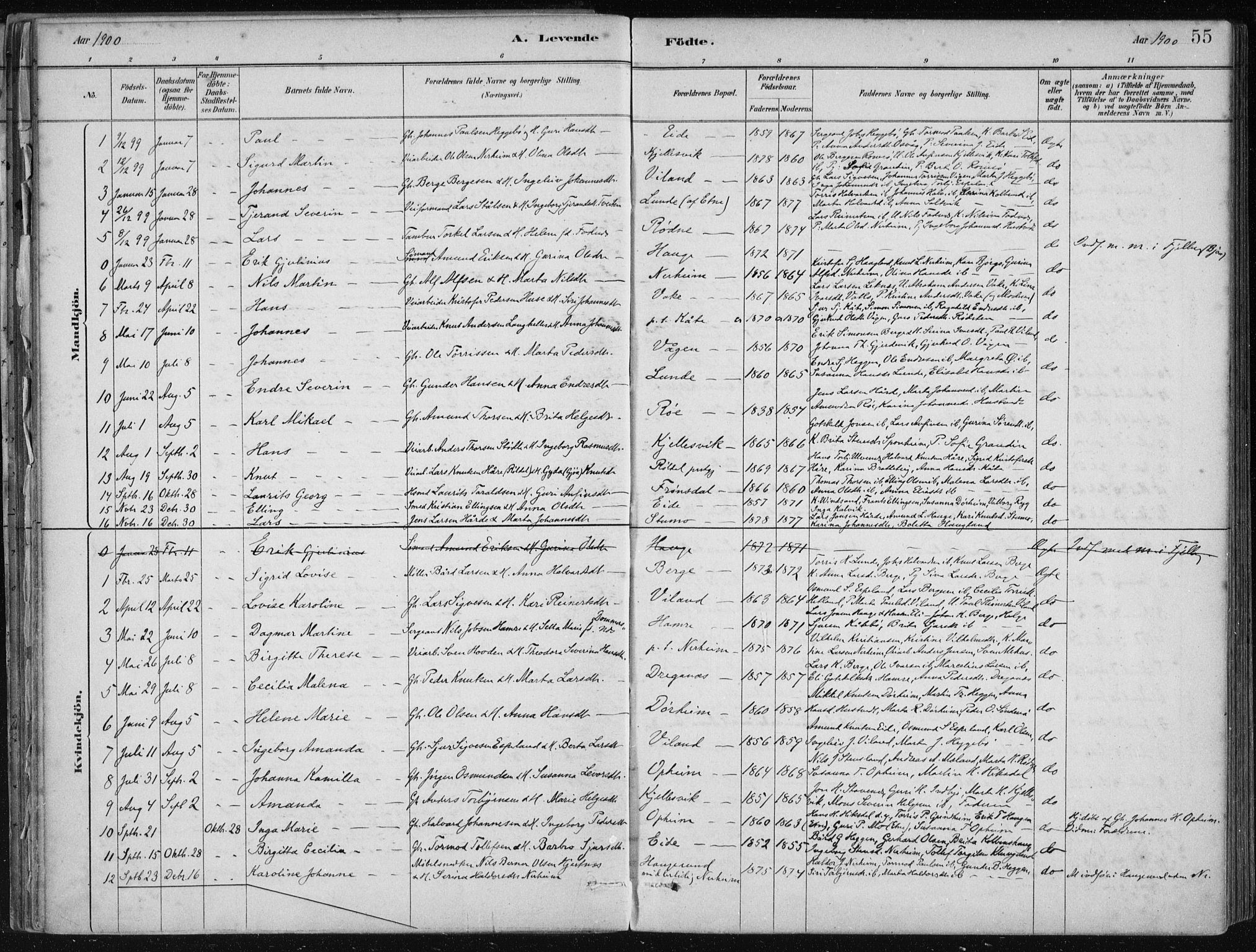 Fjelberg sokneprestembete, SAB/A-75201/H/Haa: Parish register (official) no. D 1, 1879-1918, p. 55