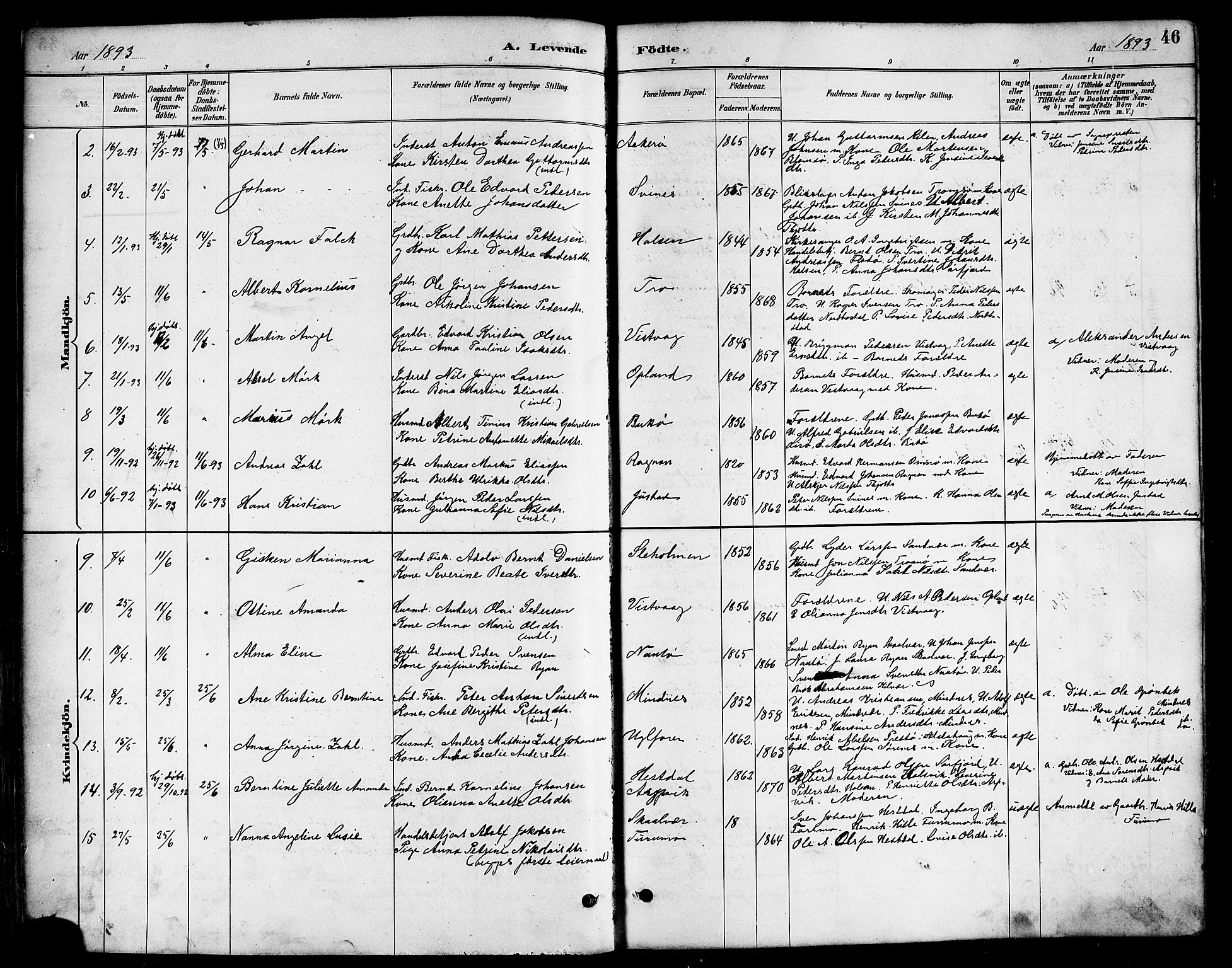 Ministerialprotokoller, klokkerbøker og fødselsregistre - Nordland, AV/SAT-A-1459/817/L0268: Parish register (copy) no. 817C03, 1884-1920, p. 46