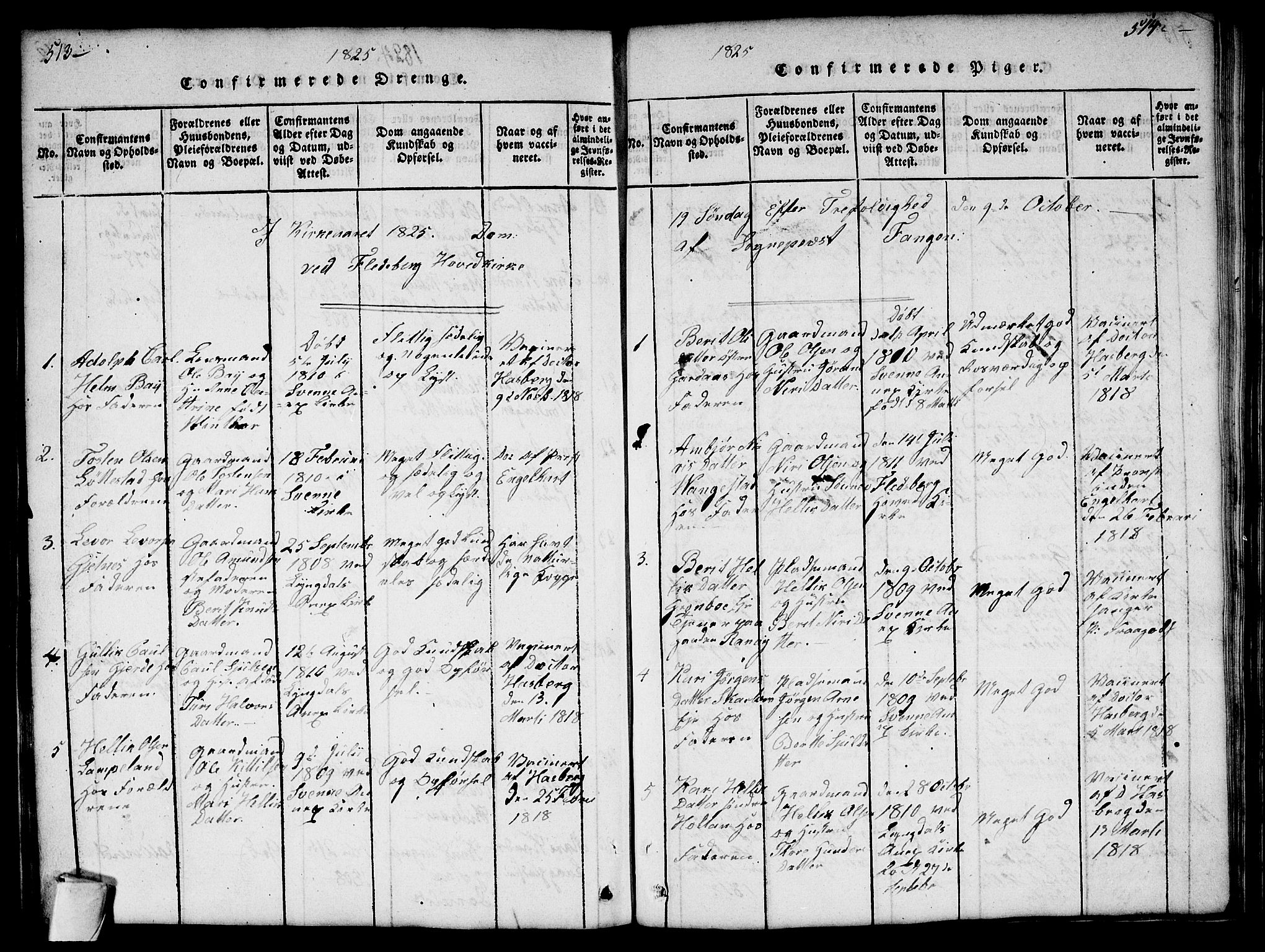 Flesberg kirkebøker, SAKO/A-18/G/Ga/L0001: Parish register (copy) no. I 1, 1816-1834, p. 513-514