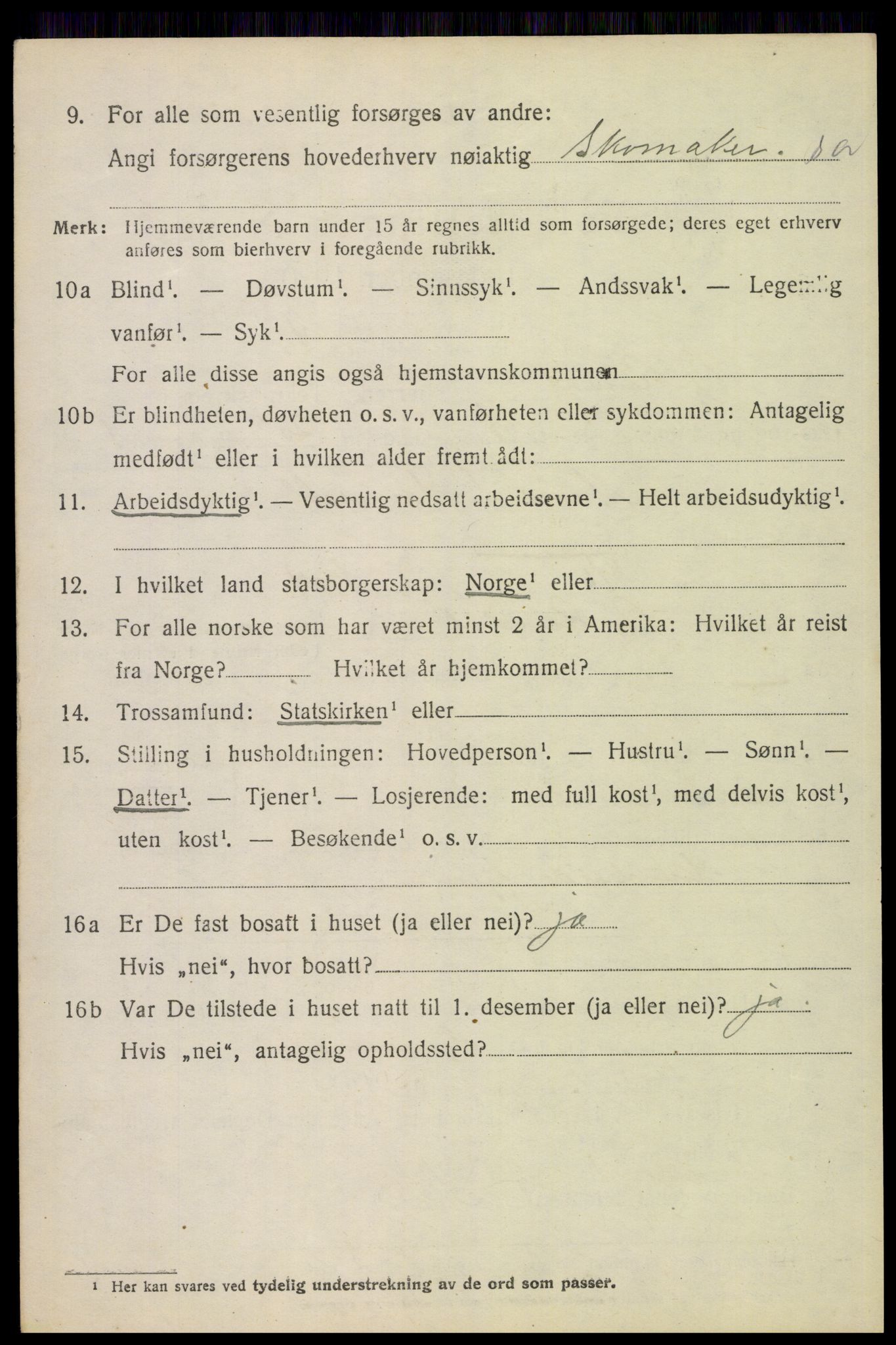 SAH, 1920 census for Ytre Rendal, 1920, p. 1074