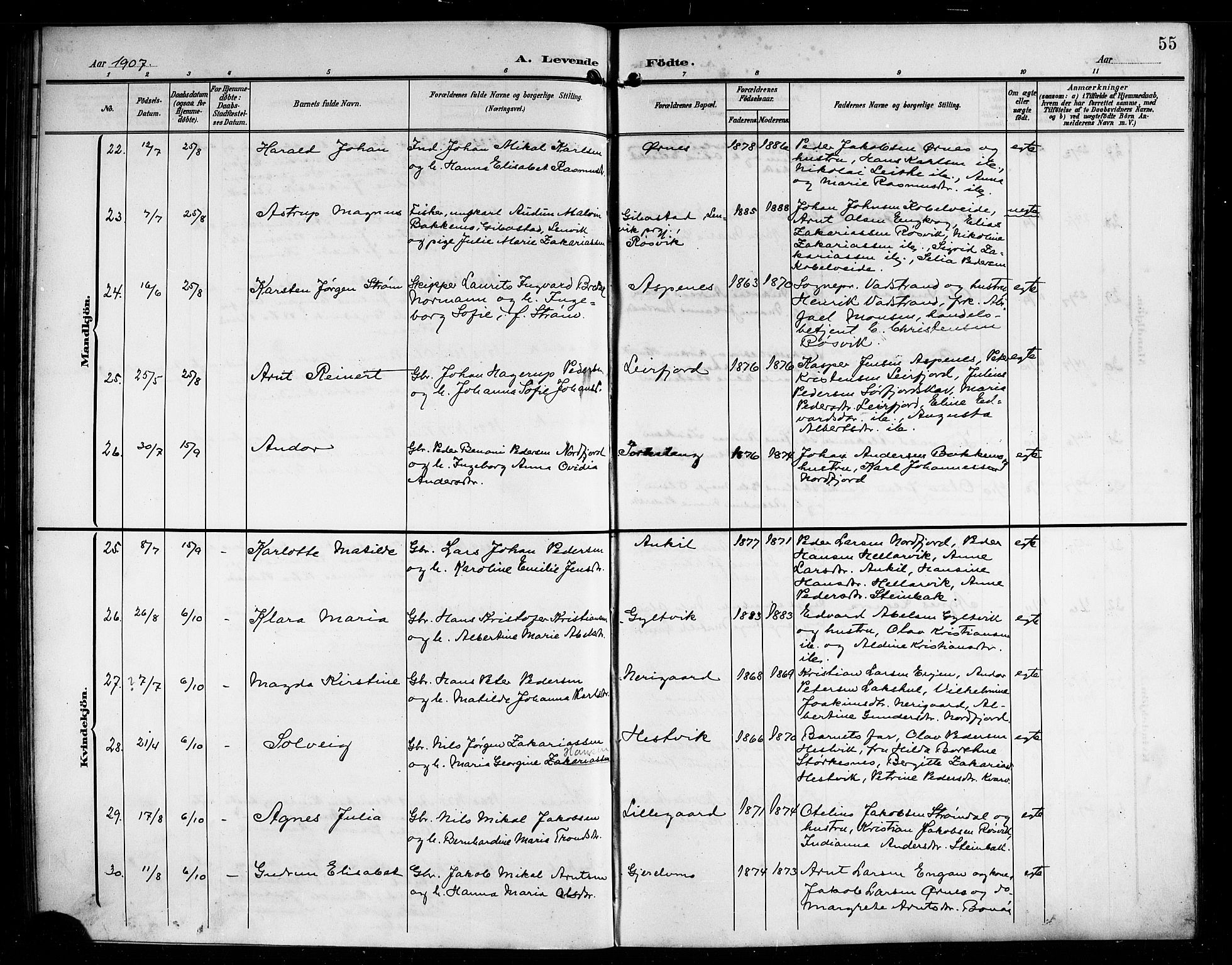 Ministerialprotokoller, klokkerbøker og fødselsregistre - Nordland, AV/SAT-A-1459/854/L0786: Parish register (copy) no. 854C02, 1901-1912, p. 55