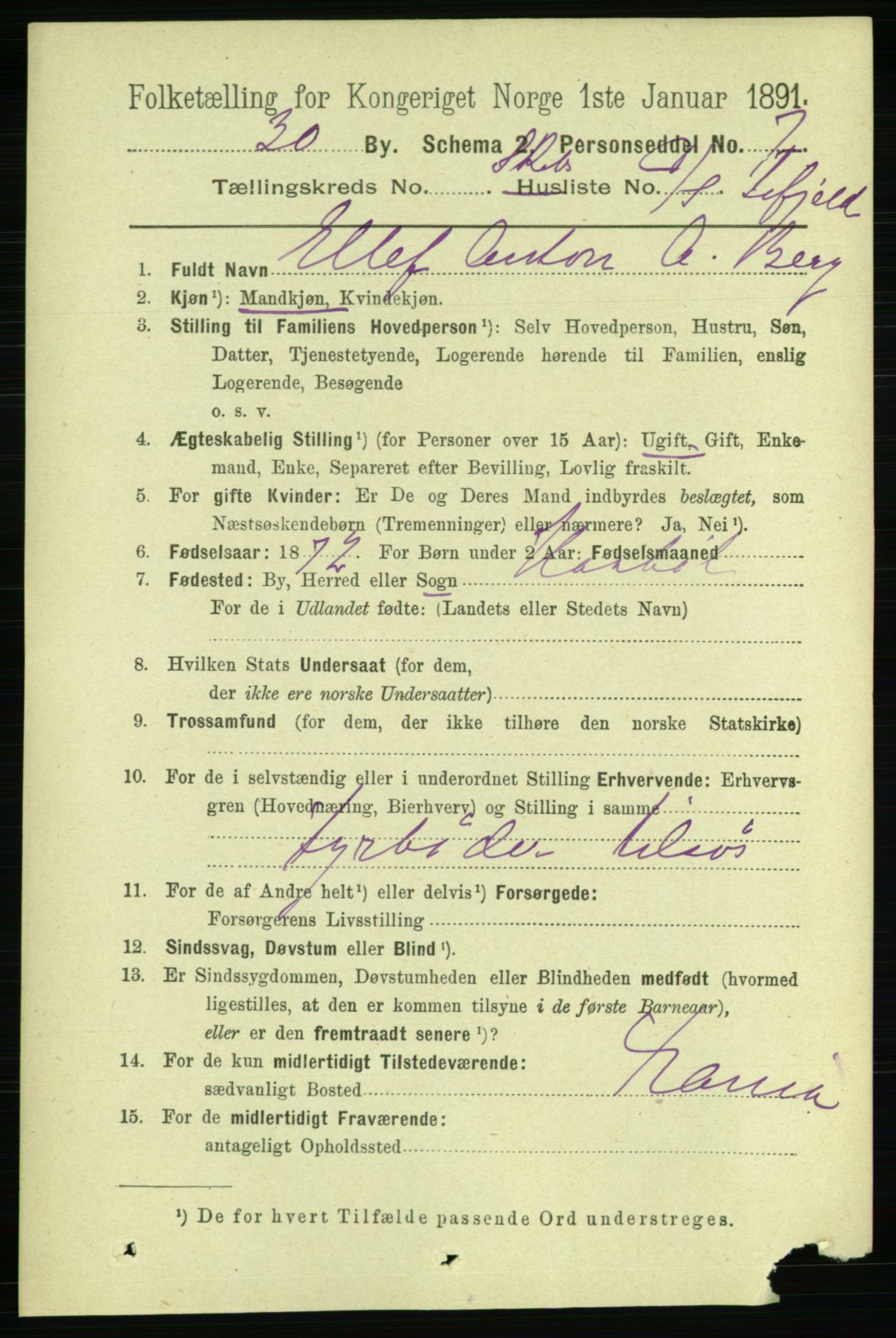 RA, 1891 census for 0806 Skien, 1891, p. 11516