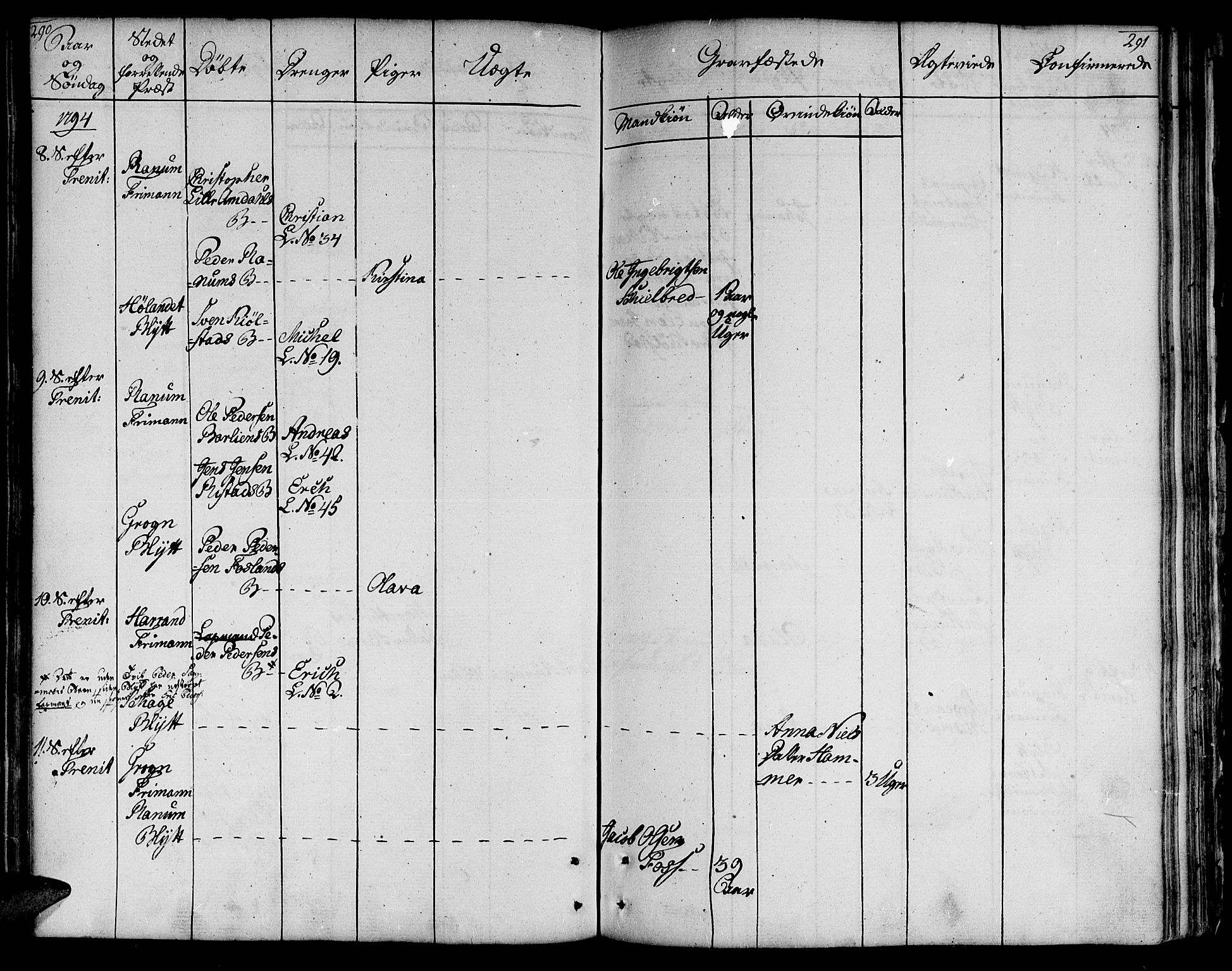 Ministerialprotokoller, klokkerbøker og fødselsregistre - Nord-Trøndelag, AV/SAT-A-1458/764/L0544: Parish register (official) no. 764A04, 1780-1798, p. 290-291