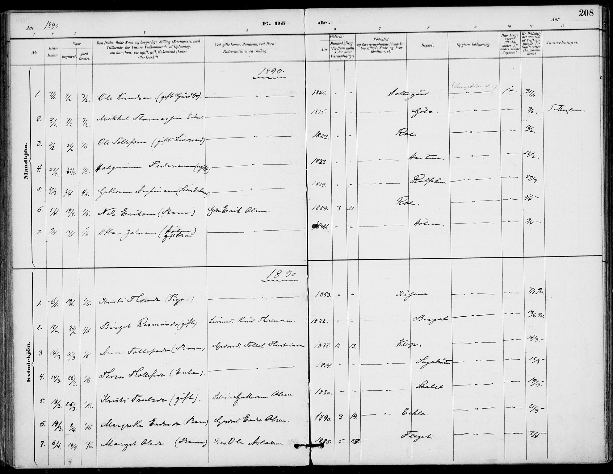 Gol kirkebøker, SAKO/A-226/F/Fa/L0005: Parish register (official) no. I 5, 1887-1900, p. 208