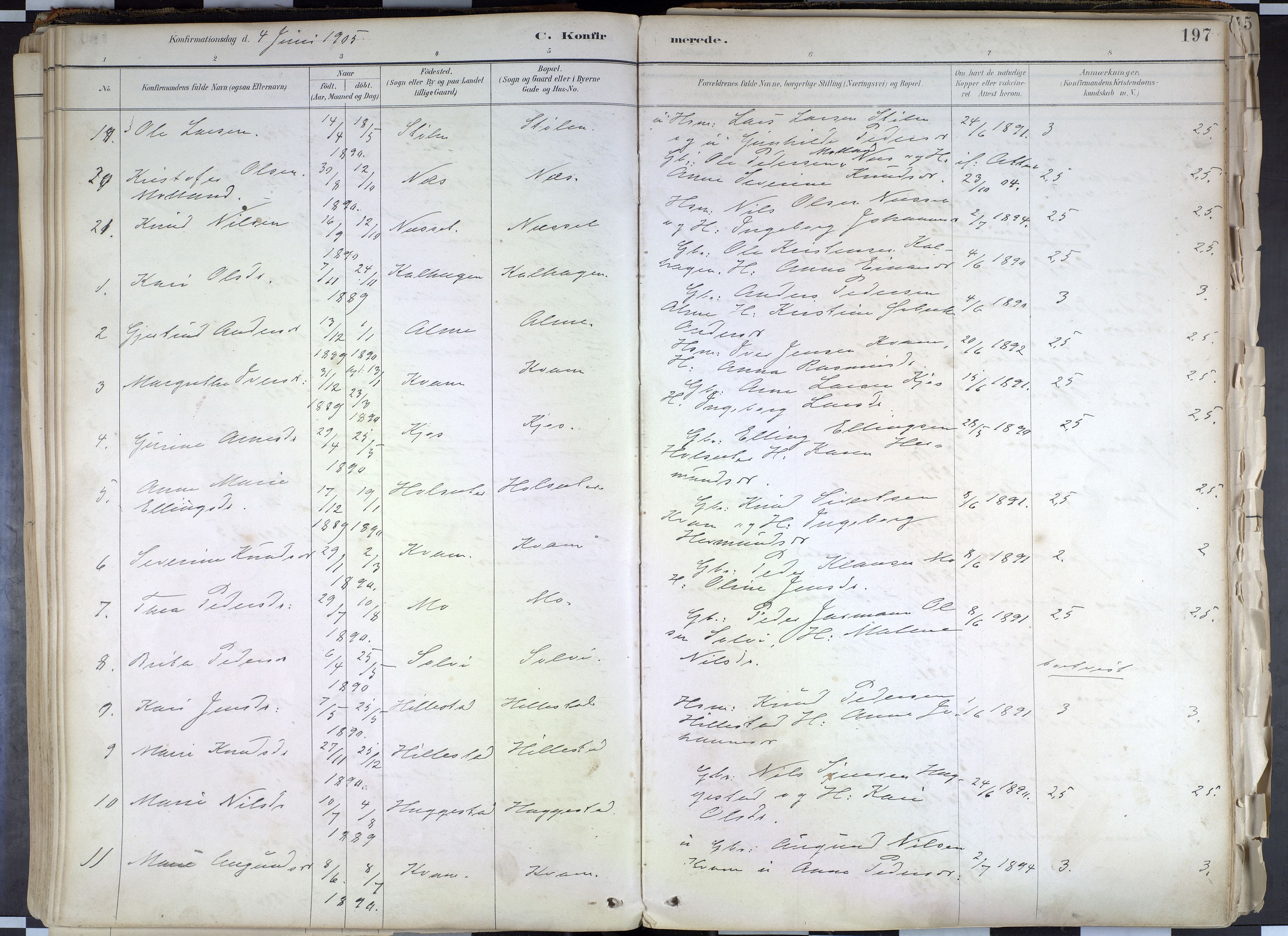 Hafslo sokneprestembete, AV/SAB-A-80301/H/Haa/Haab/L0001: Parish register (official) no. B 1, 1886-1945, p. 197