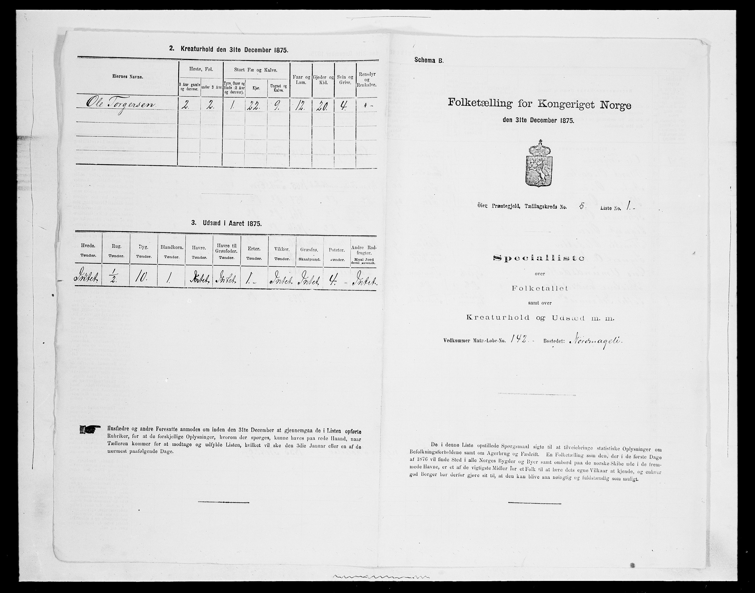 SAH, 1875 census for 0521P Øyer, 1875, p. 956