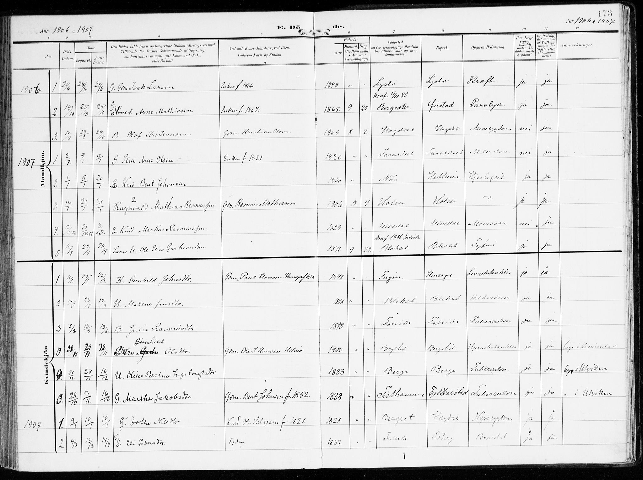 Innvik sokneprestembete, AV/SAB-A-80501: Parish register (official) no. B 2, 1903-1929, p. 173