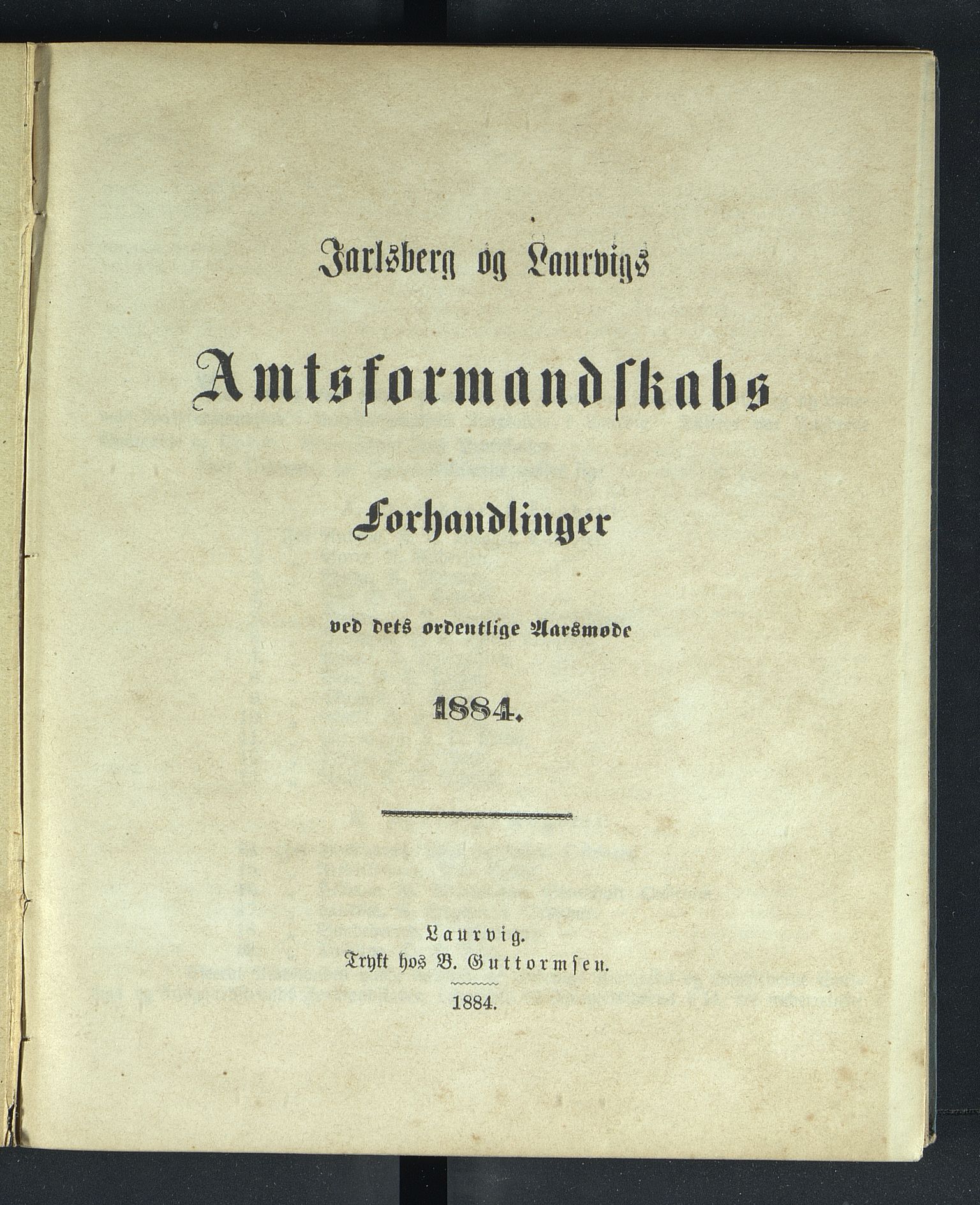 Vestfold fylkeskommune. Fylkestinget, VEMU/A-1315/A/Ab/Abb/L0031: Fylkestingsforhandlinger, 1884