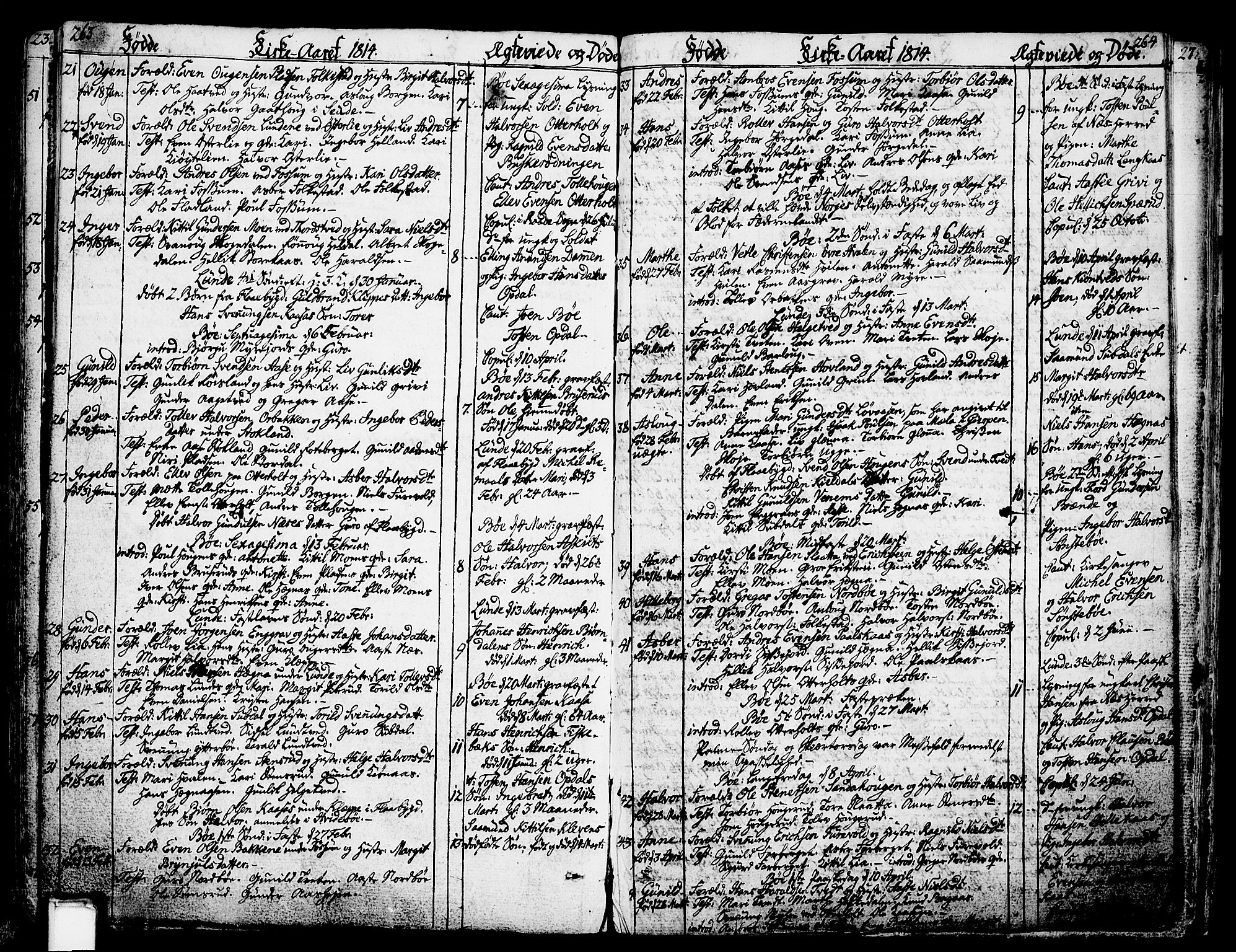 Bø kirkebøker, SAKO/A-257/F/Fa/L0005: Parish register (official) no. 5, 1785-1815, p. 263-264