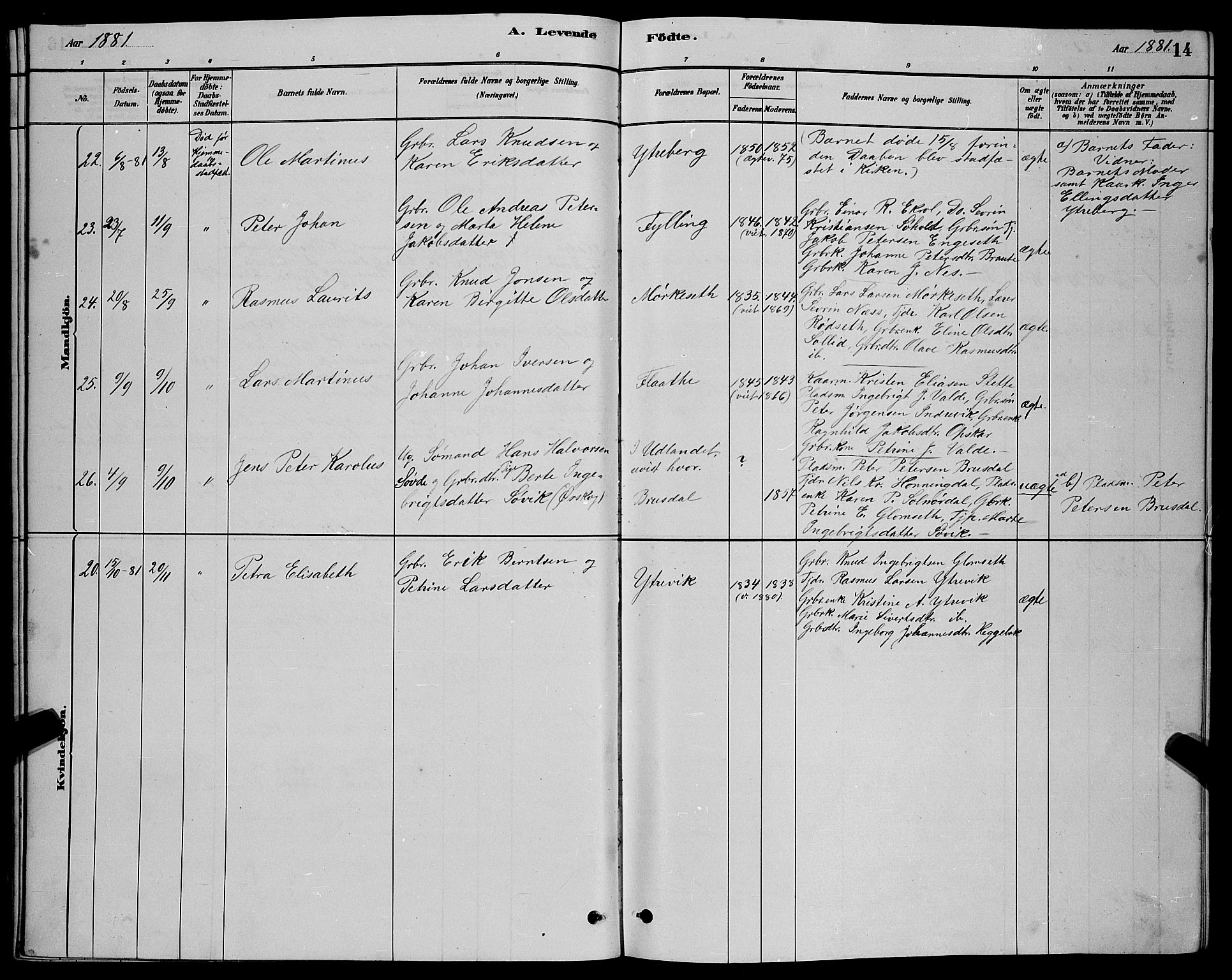 Ministerialprotokoller, klokkerbøker og fødselsregistre - Møre og Romsdal, AV/SAT-A-1454/524/L0365: Parish register (copy) no. 524C06, 1880-1899, p. 14