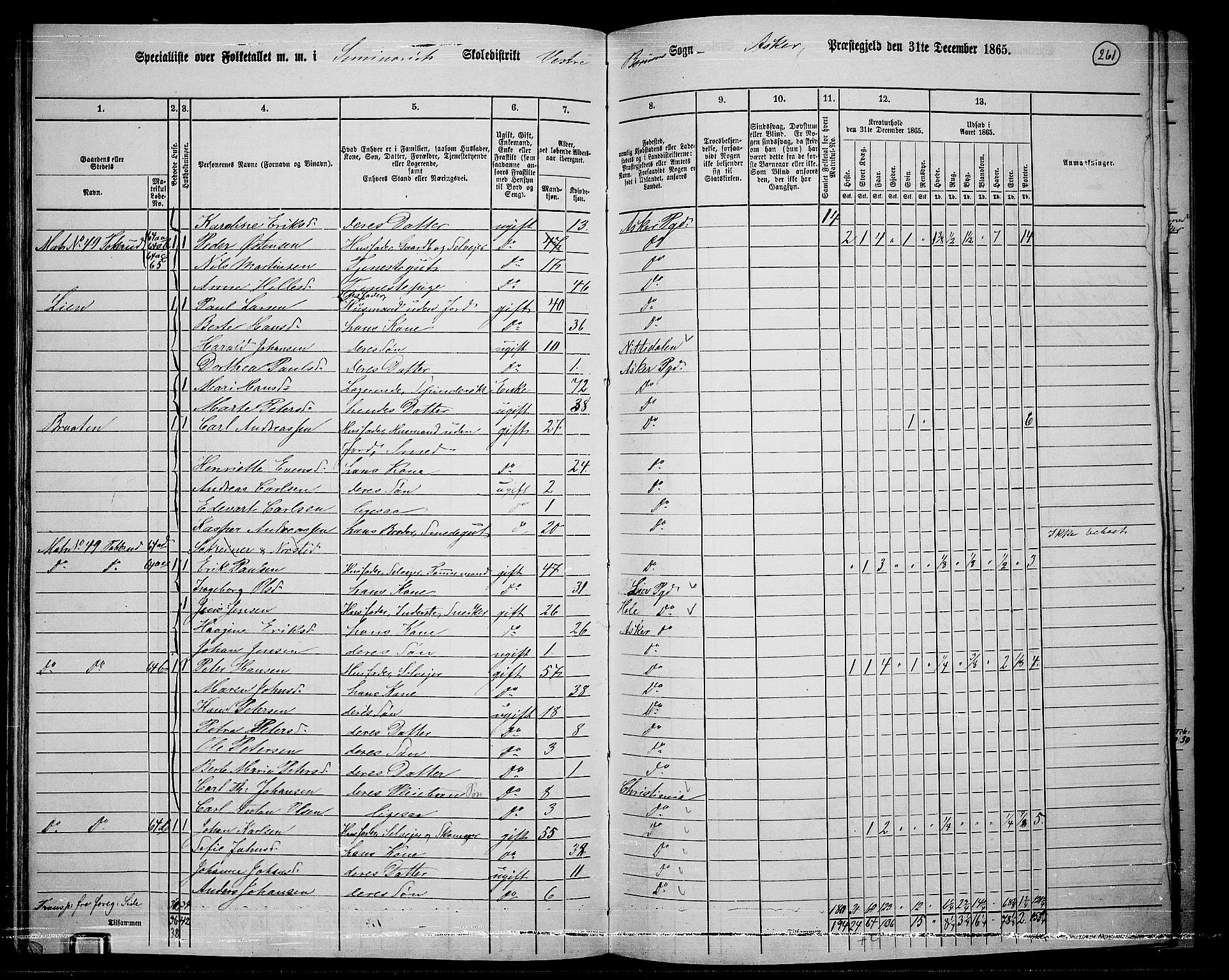 RA, 1865 census for Asker, 1865, p. 249