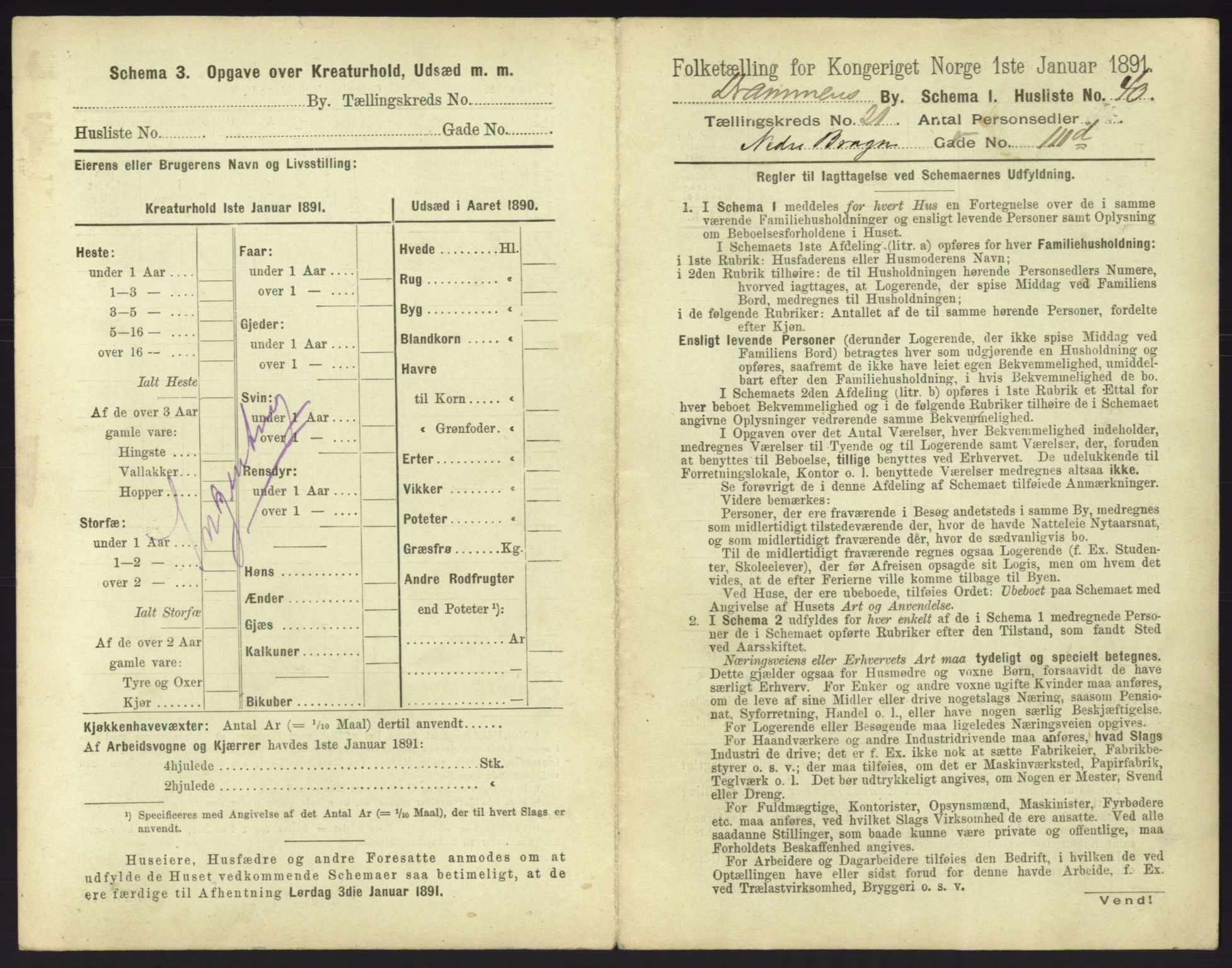 RA, 1891 census for 0602 Drammen, 1891, p. 1815