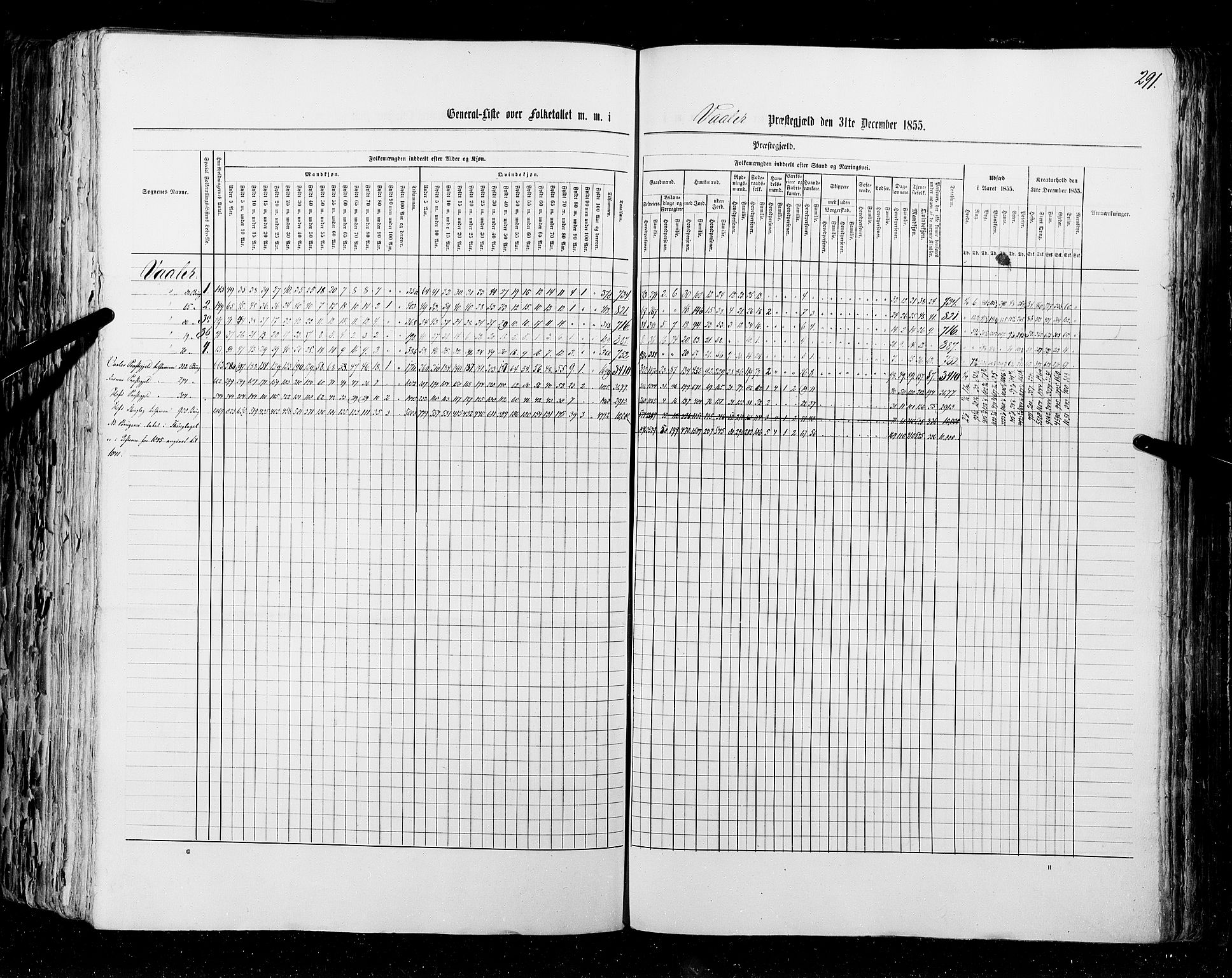 RA, Census 1855, vol. 1: Akershus amt, Smålenenes amt og Hedemarken amt, 1855, p. 291