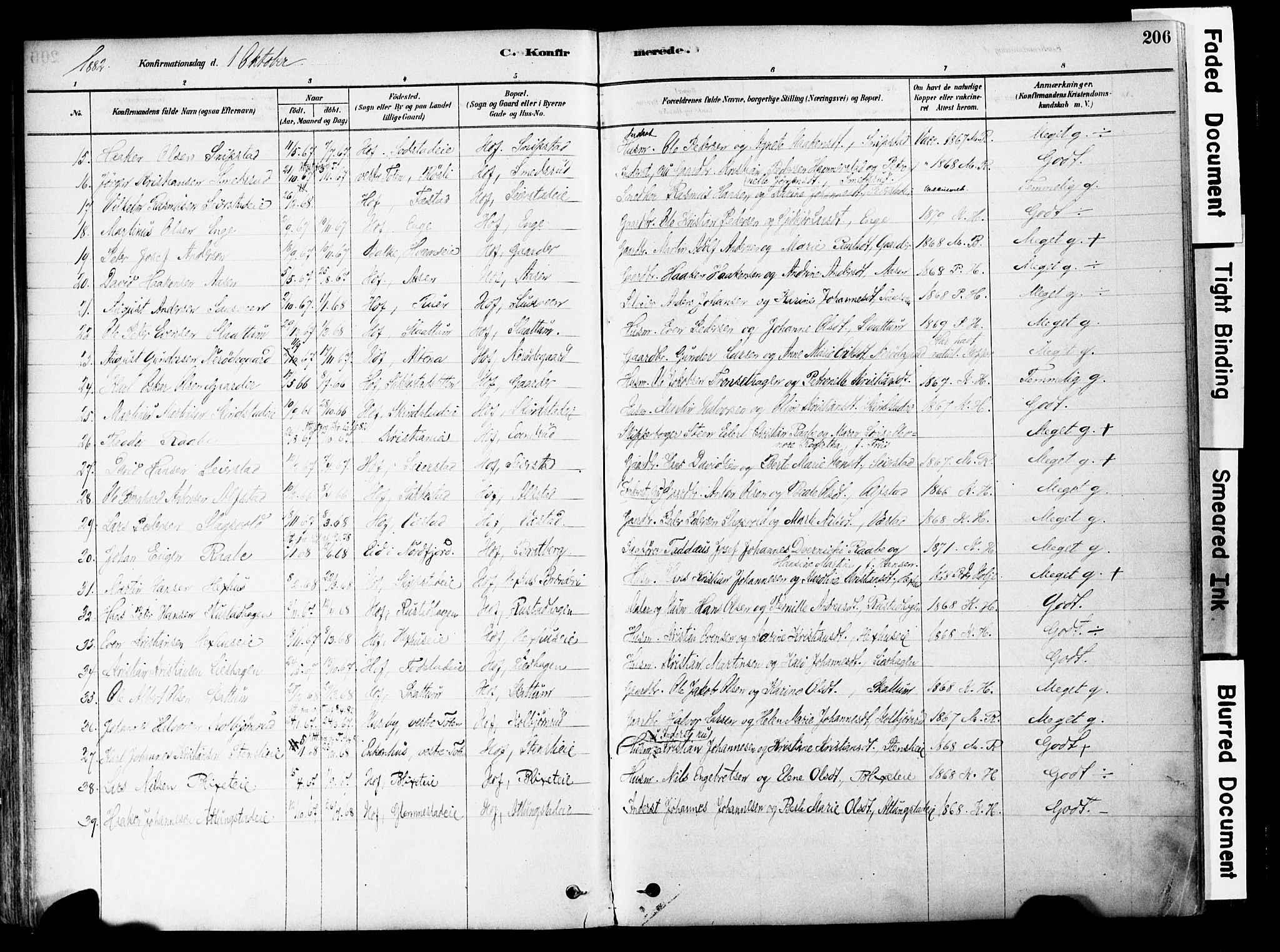 Østre Toten prestekontor, SAH/PREST-104/H/Ha/Haa/L0006: Parish register (official) no. 6 /1, 1878-1896, p. 206