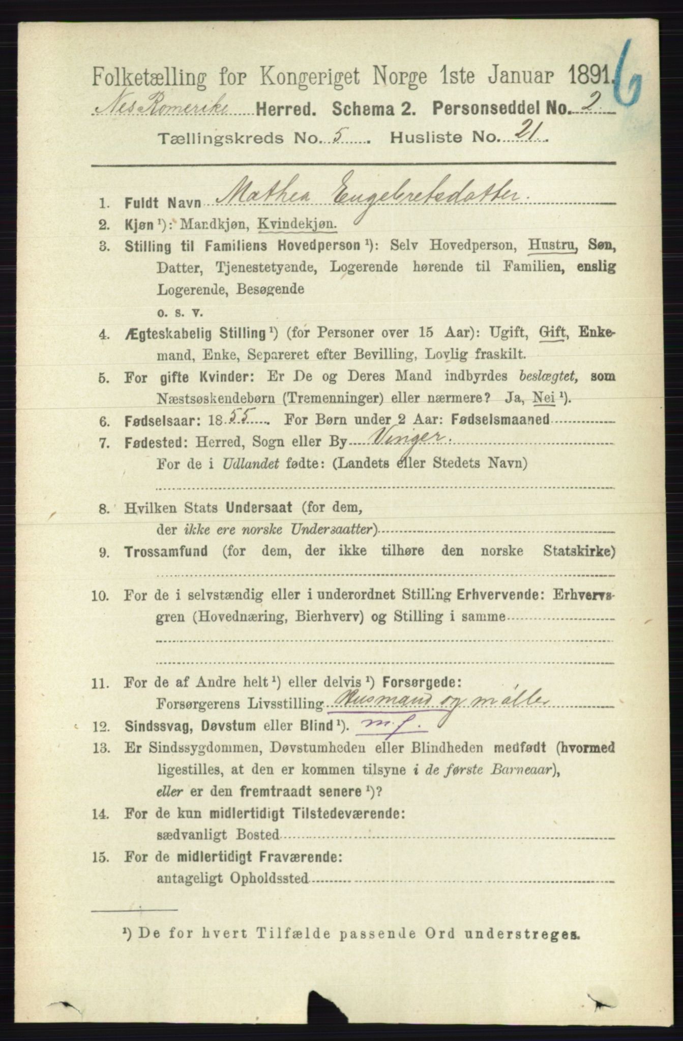 RA, 1891 census for 0236 Nes, 1891, p. 2906