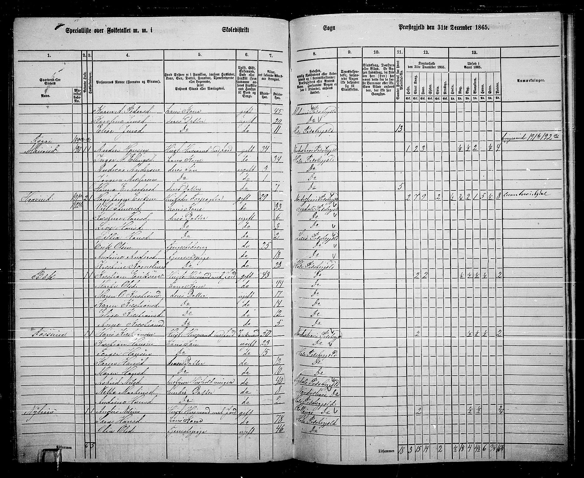 RA, 1865 census for Hole, 1865, p. 127