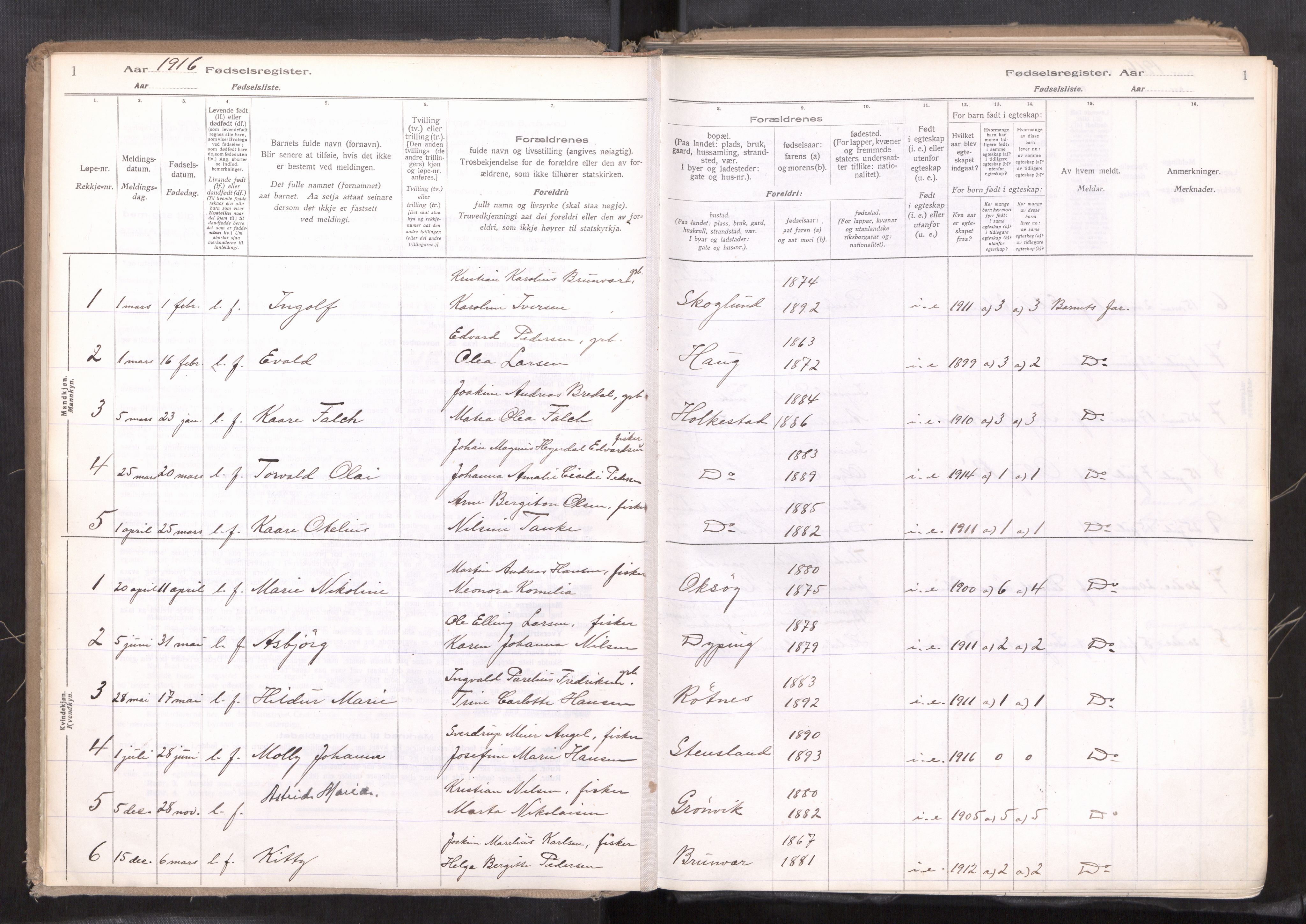 Ministerialprotokoller, klokkerbøker og fødselsregistre - Nordland, AV/SAT-A-1459/855/L0819: Birth register no. 855---, 1916-1954, p. 1