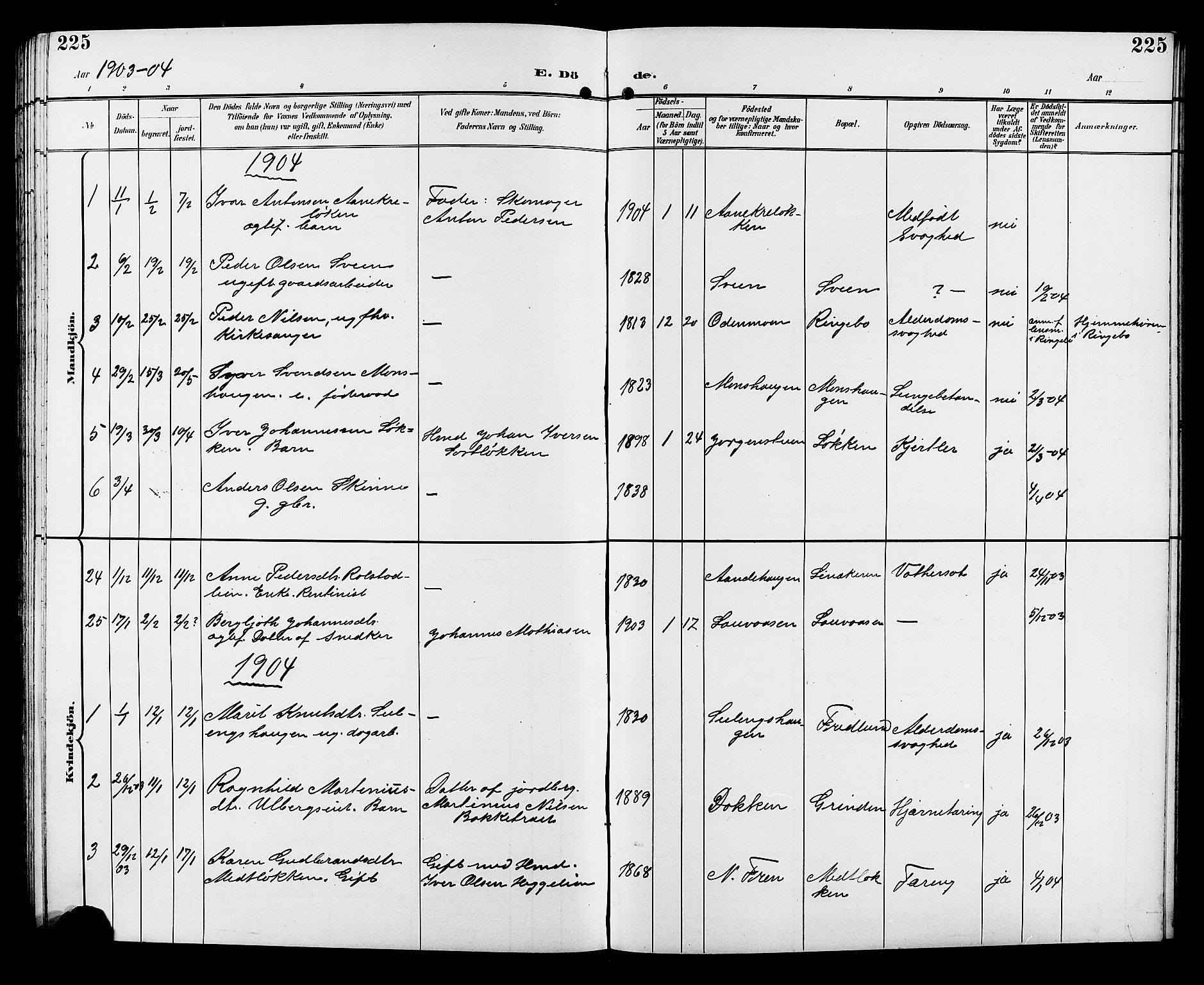 Sør-Fron prestekontor, SAH/PREST-010/H/Ha/Hab/L0004: Parish register (copy) no. 4, 1896-1911, p. 225