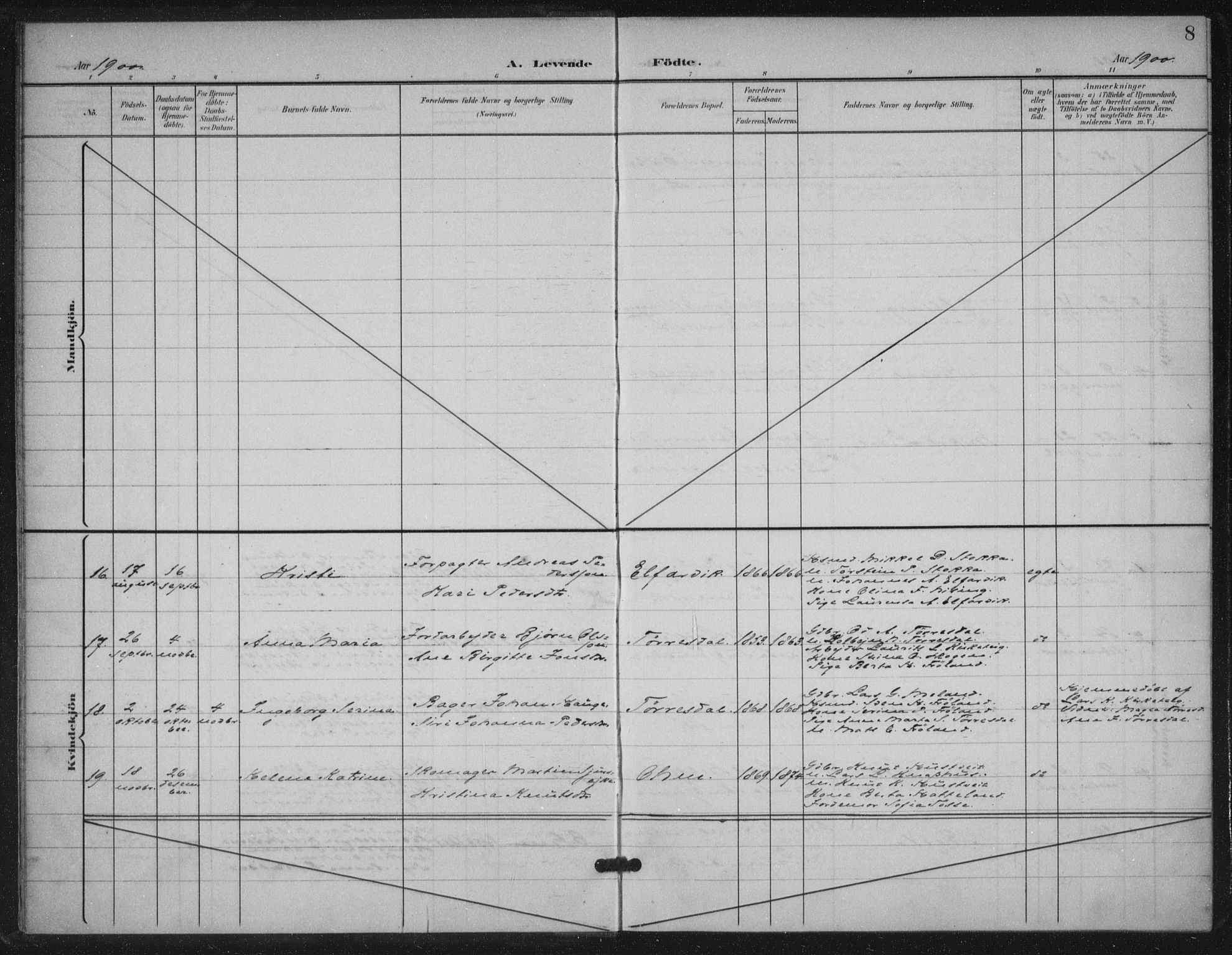 Skjold sokneprestkontor, AV/SAST-A-101847/H/Ha/Haa/L0012: Parish register (official) no. A 12, 1899-1915, p. 8