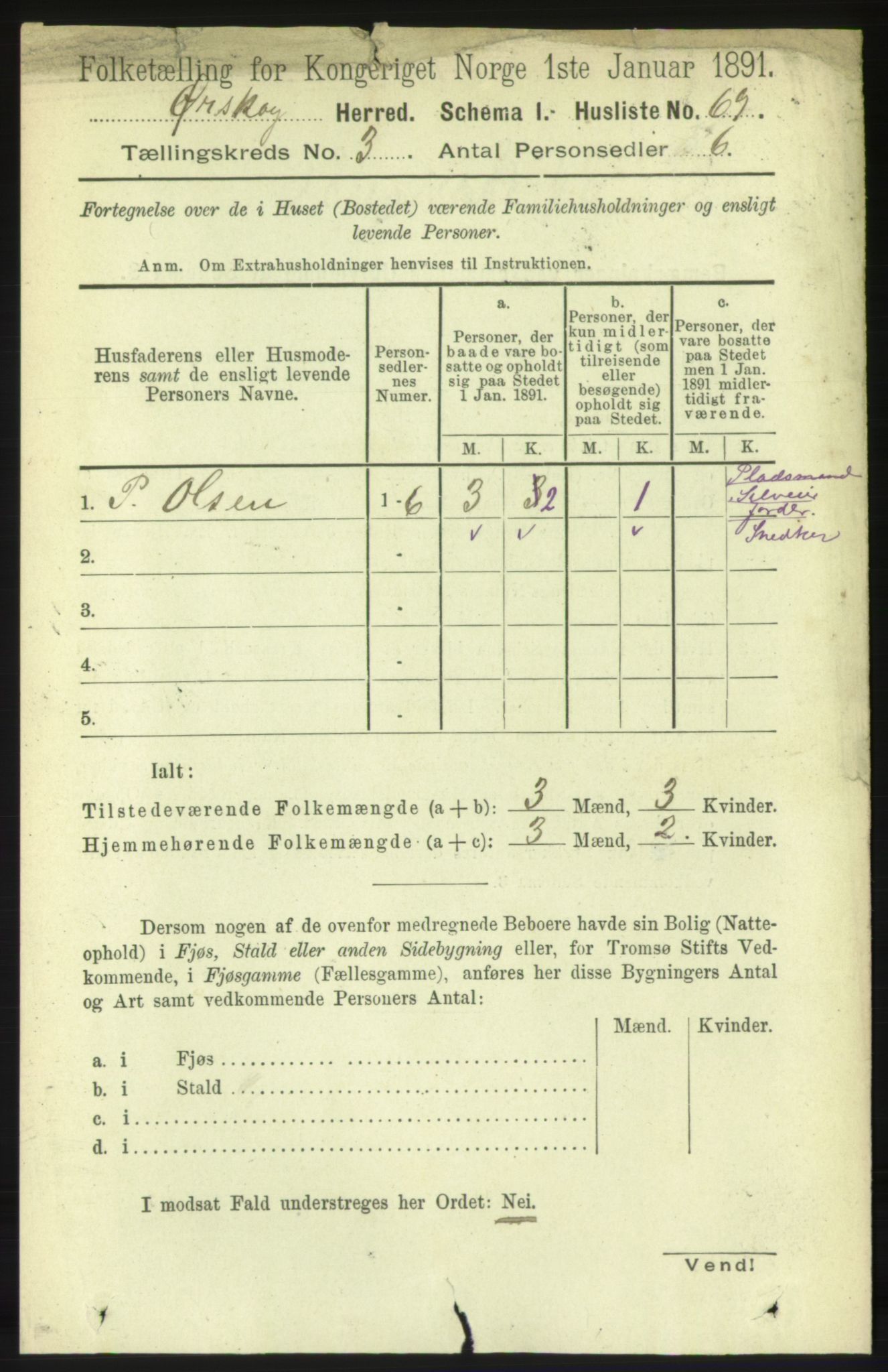 RA, 1891 census for 1527 Ørskog, 1891, p. 1303
