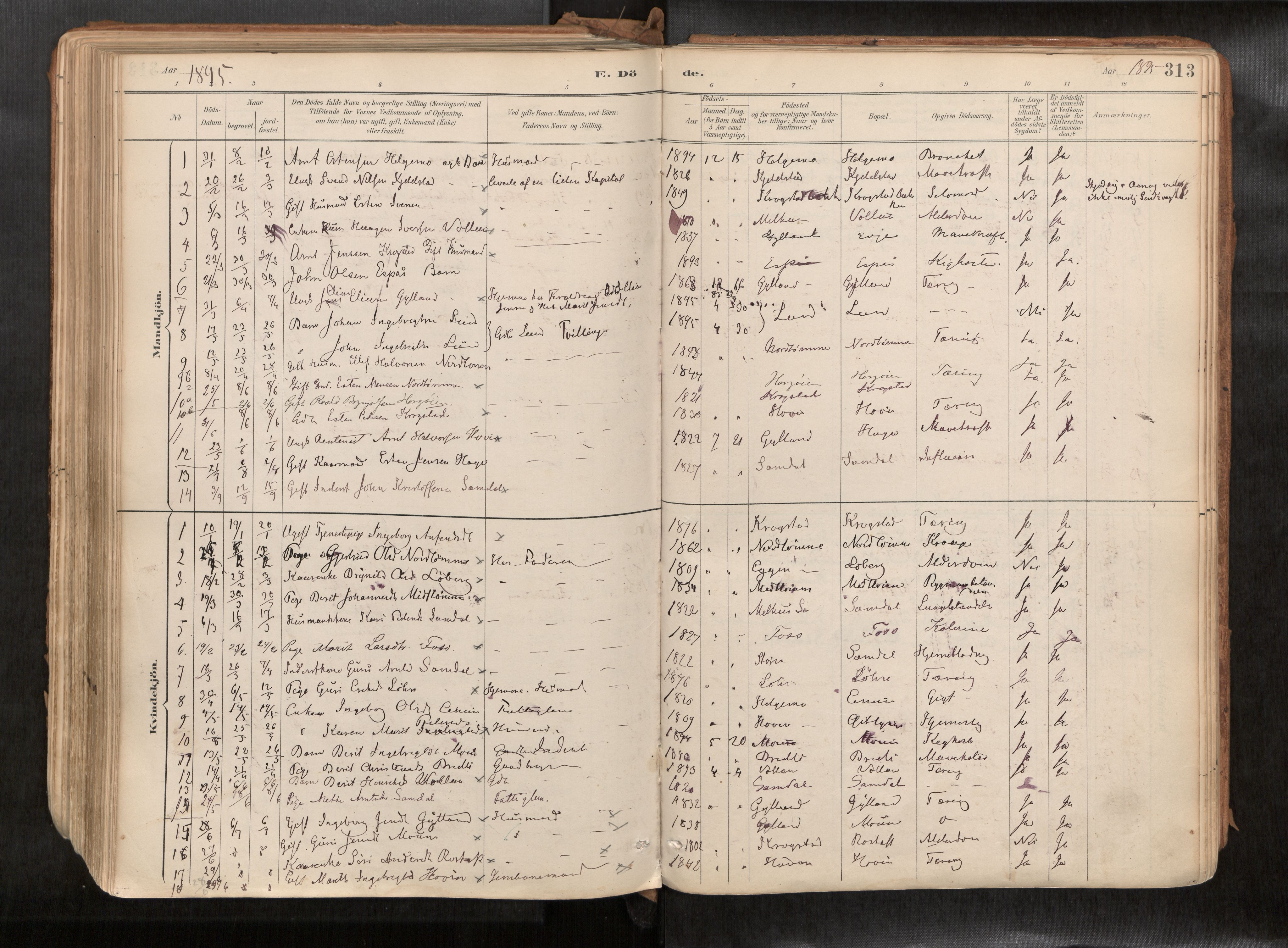 Ministerialprotokoller, klokkerbøker og fødselsregistre - Sør-Trøndelag, AV/SAT-A-1456/692/L1105b: Parish register (official) no. 692A06, 1891-1934, p. 313