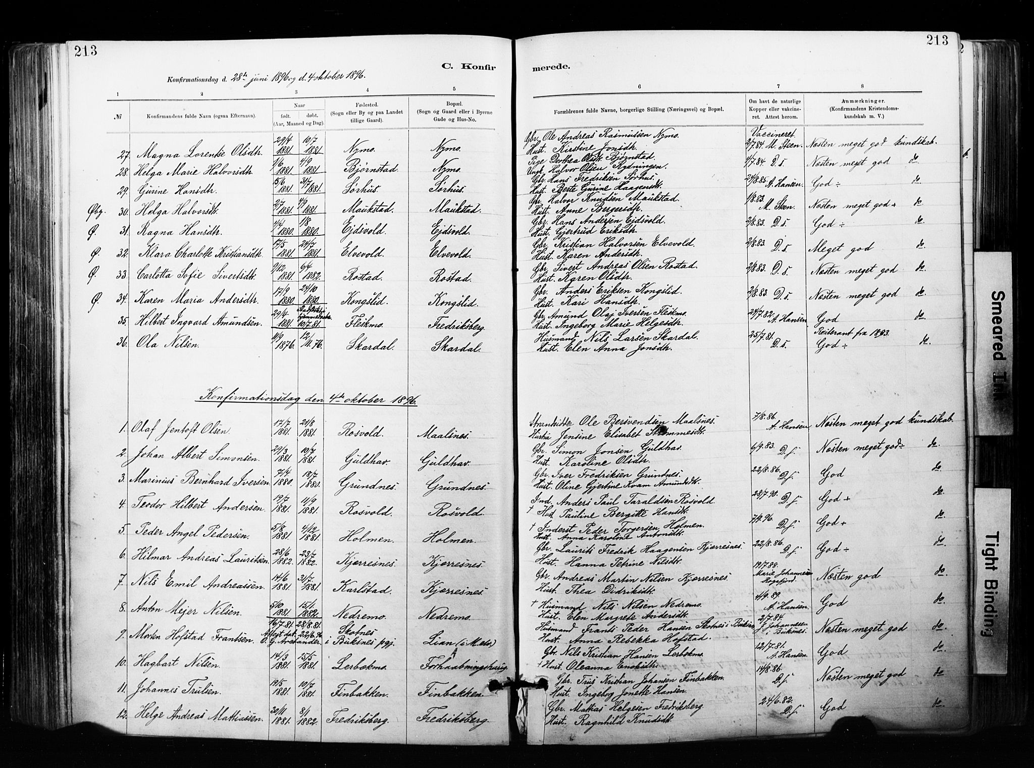Målselv sokneprestembete, SATØ/S-1311/G/Ga/Gaa/L0007kirke: Parish register (official) no. 7, 1884-1903, p. 213