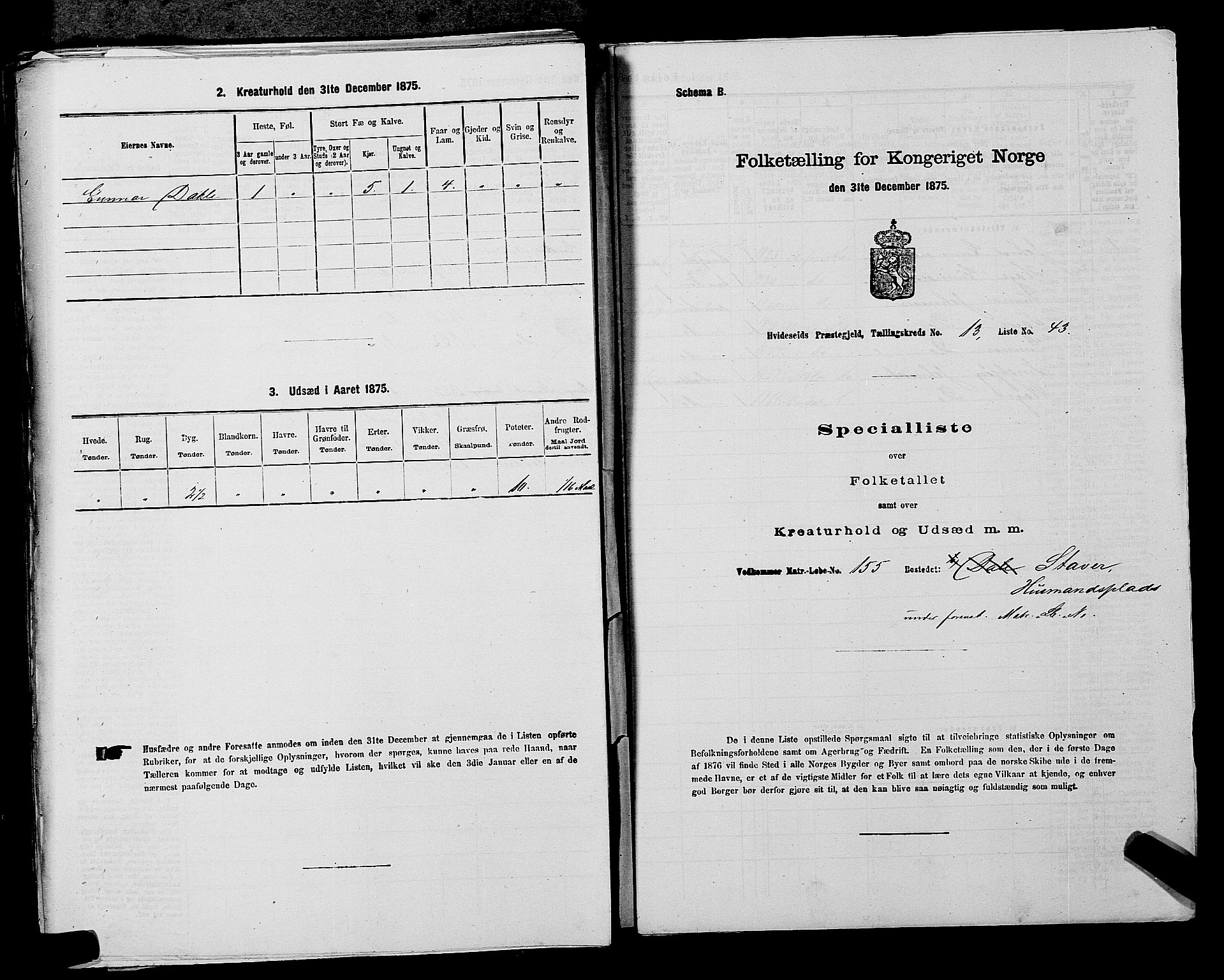 SAKO, 1875 census for 0829P Kviteseid, 1875, p. 1183