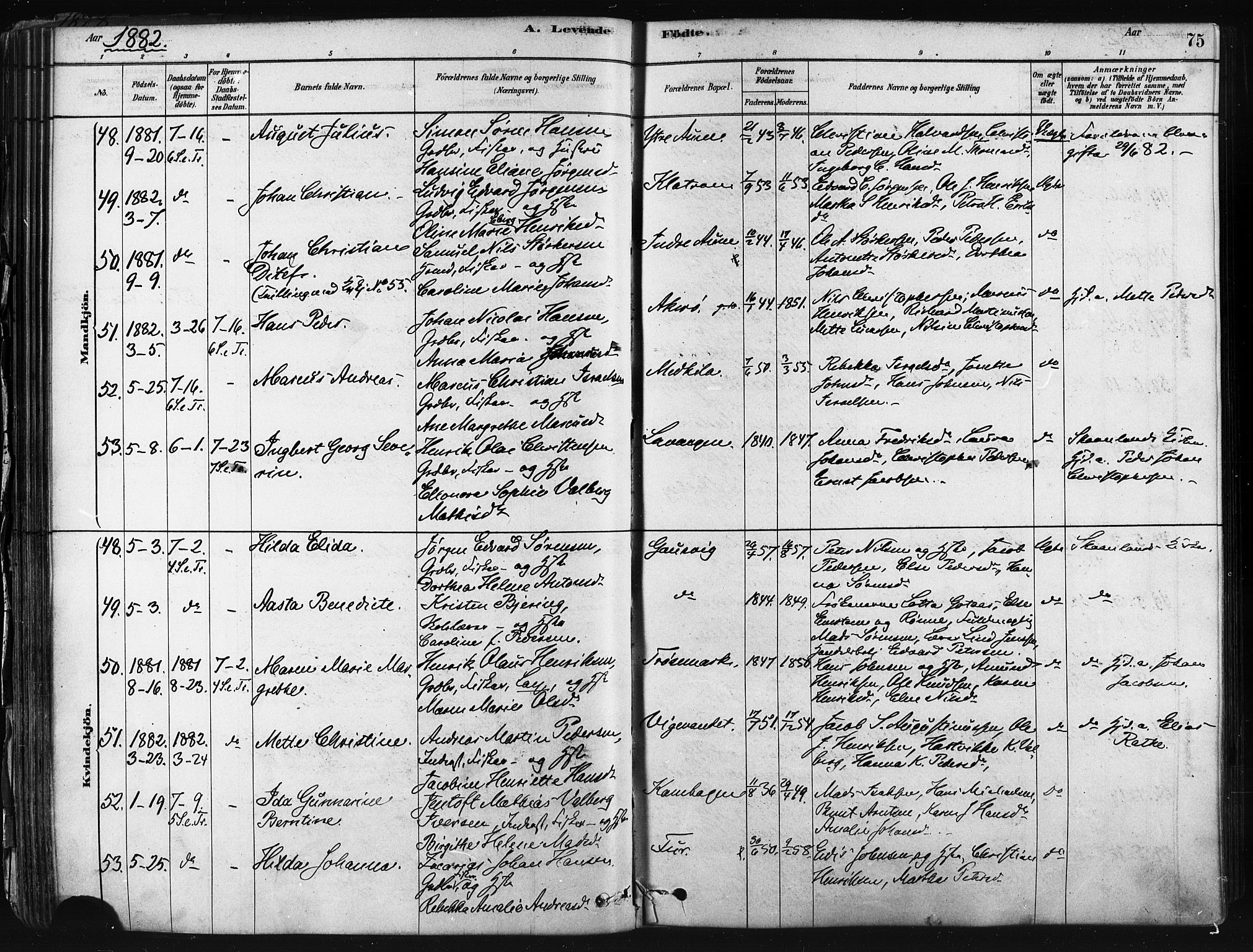 Trondenes sokneprestkontor, SATØ/S-1319/H/Ha/L0014kirke: Parish register (official) no. 14, 1878-1889, p. 75