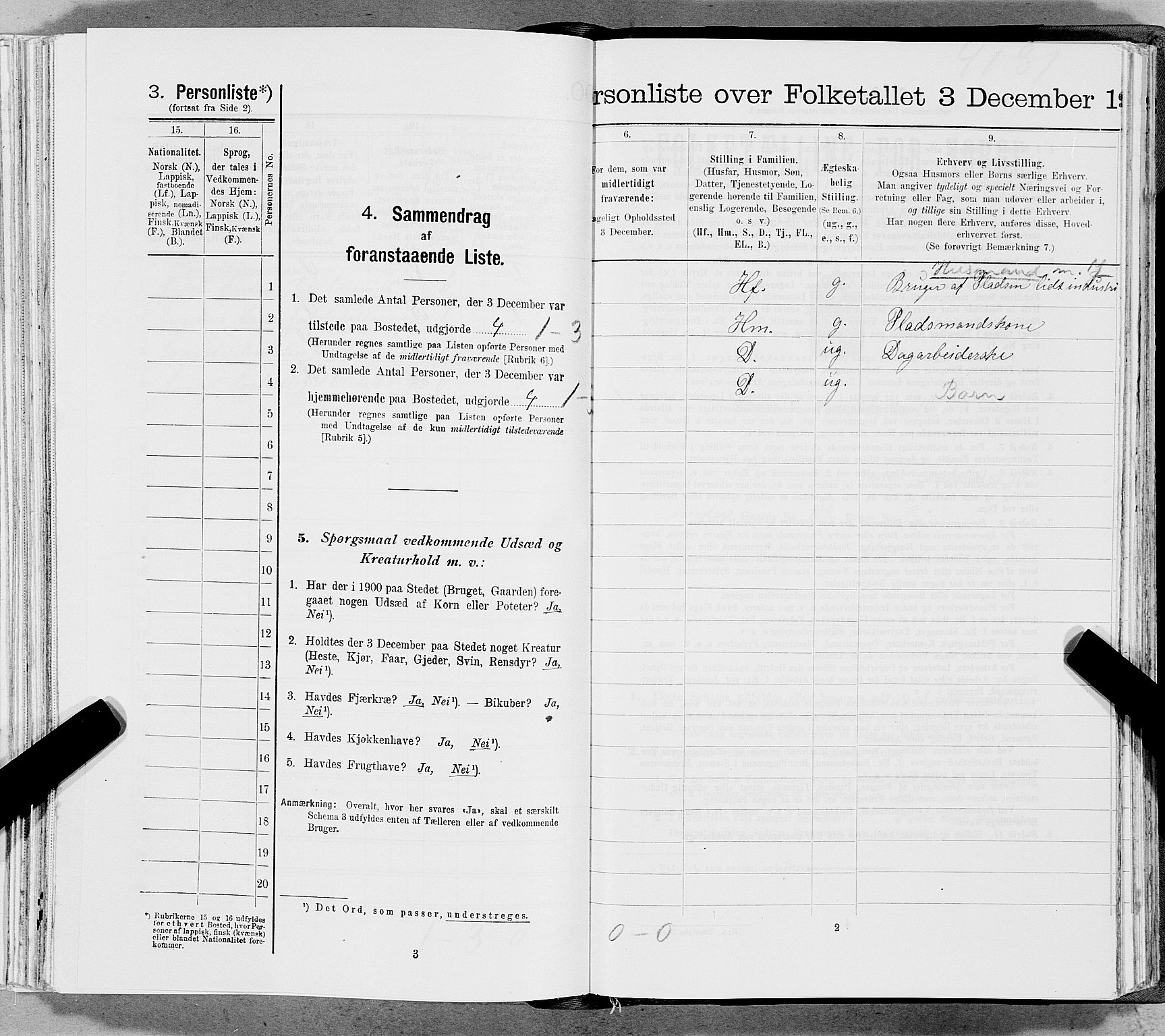 SAT, 1900 census for Hemnes, 1900, p. 1764