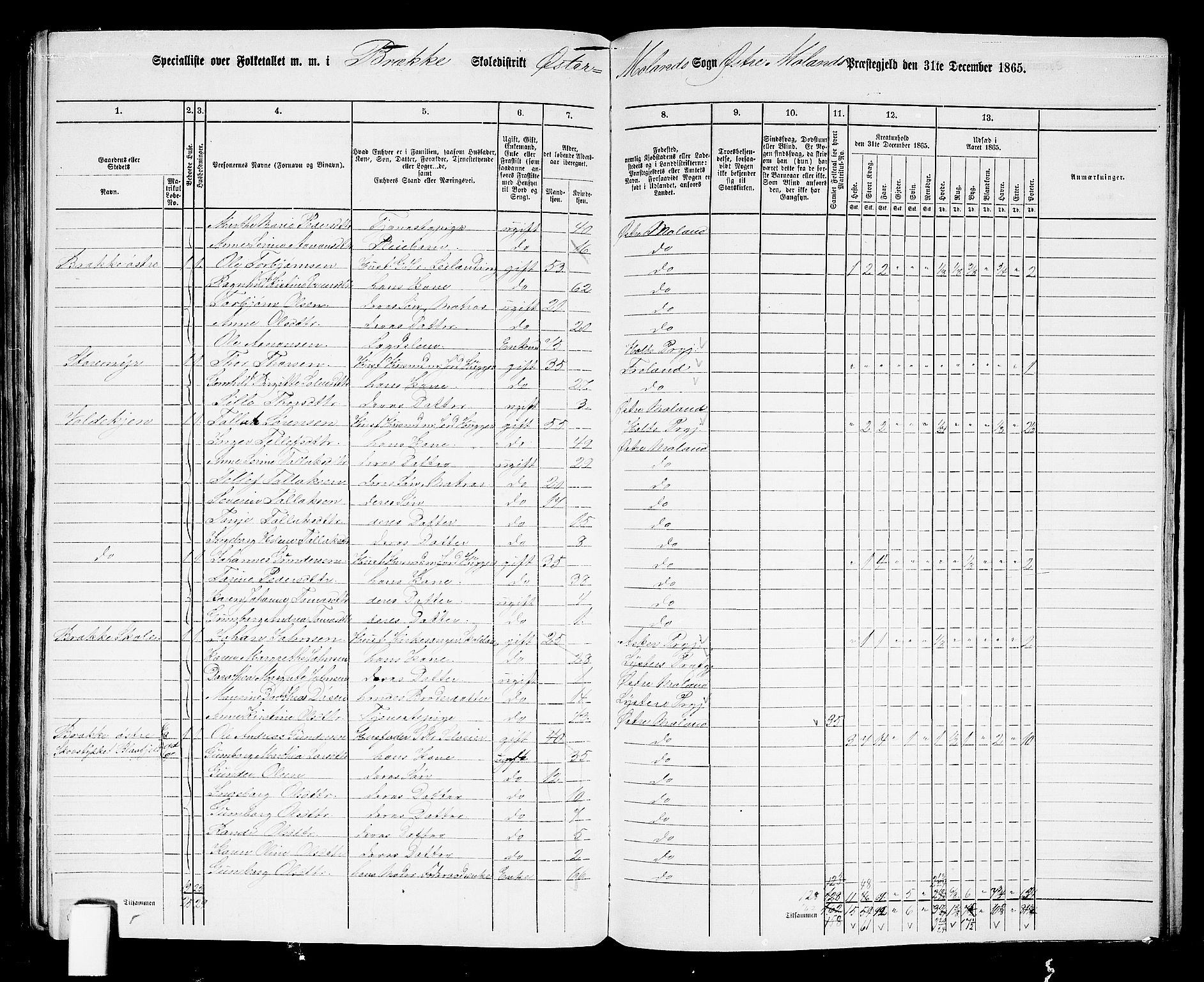 RA, 1865 census for Austre Moland, 1865, p. 283