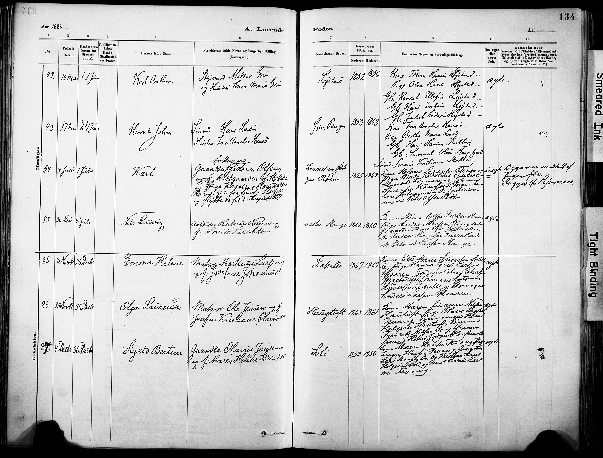 Sandar kirkebøker, SAKO/A-243/F/Fa/L0012: Parish register (official) no. 12, 1883-1895, p. 134
