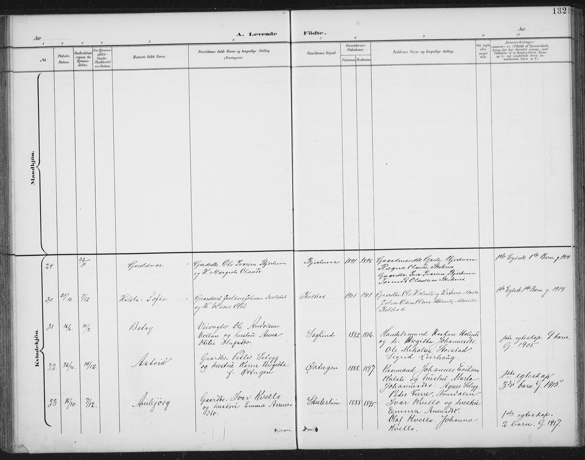 Ministerialprotokoller, klokkerbøker og fødselsregistre - Nord-Trøndelag, AV/SAT-A-1458/724/L0269: Parish register (copy) no. 724C05, 1899-1920, p. 132