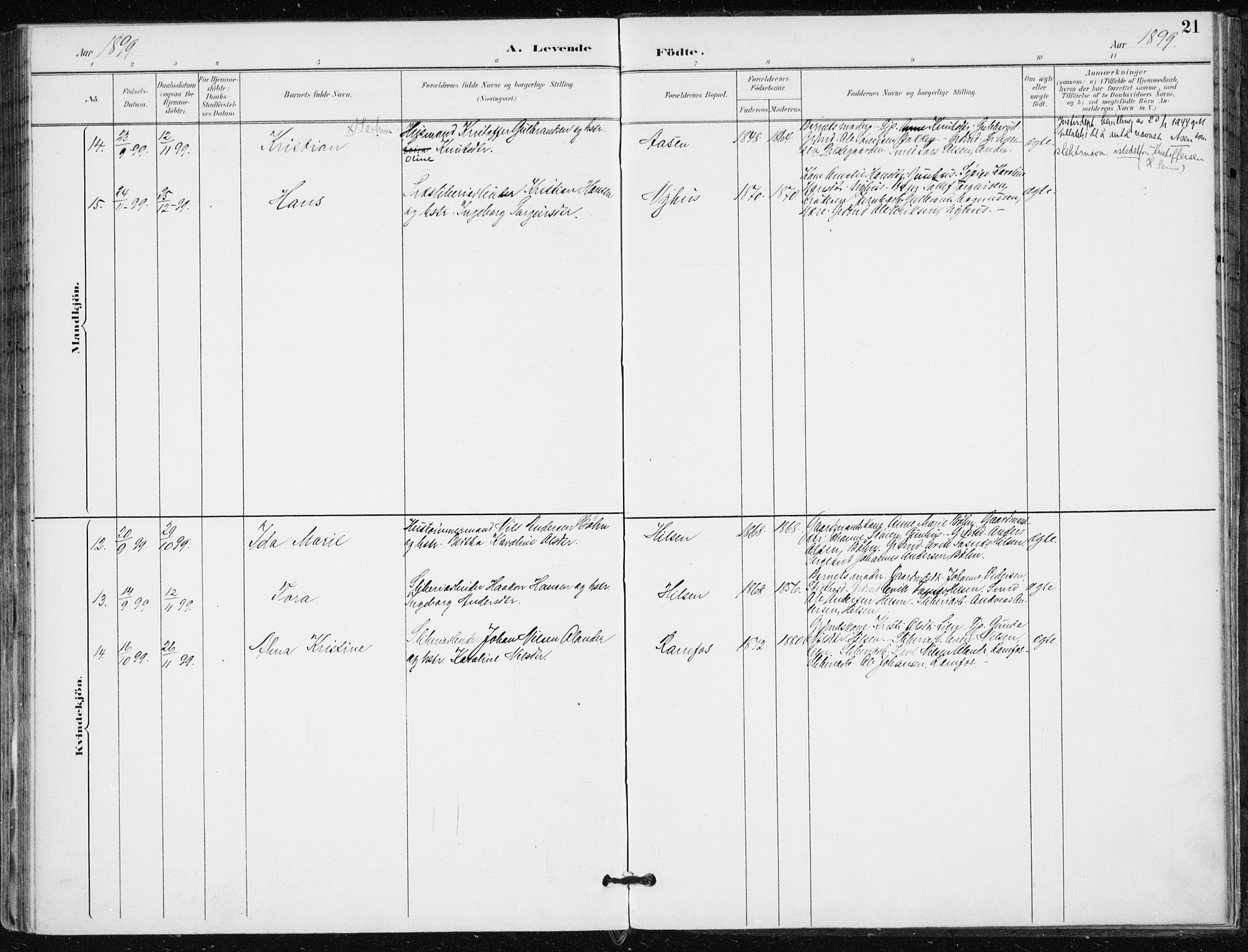 Modum kirkebøker, AV/SAKO-A-234/F/Fa/L0016: Parish register (official) no. 16, 1890-1899, p. 21