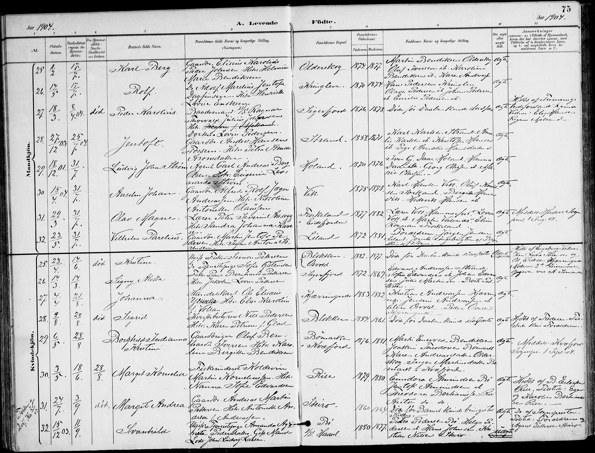 Ministerialprotokoller, klokkerbøker og fødselsregistre - Nordland, AV/SAT-A-1459/895/L1372: Parish register (official) no. 895A07, 1894-1914, p. 75