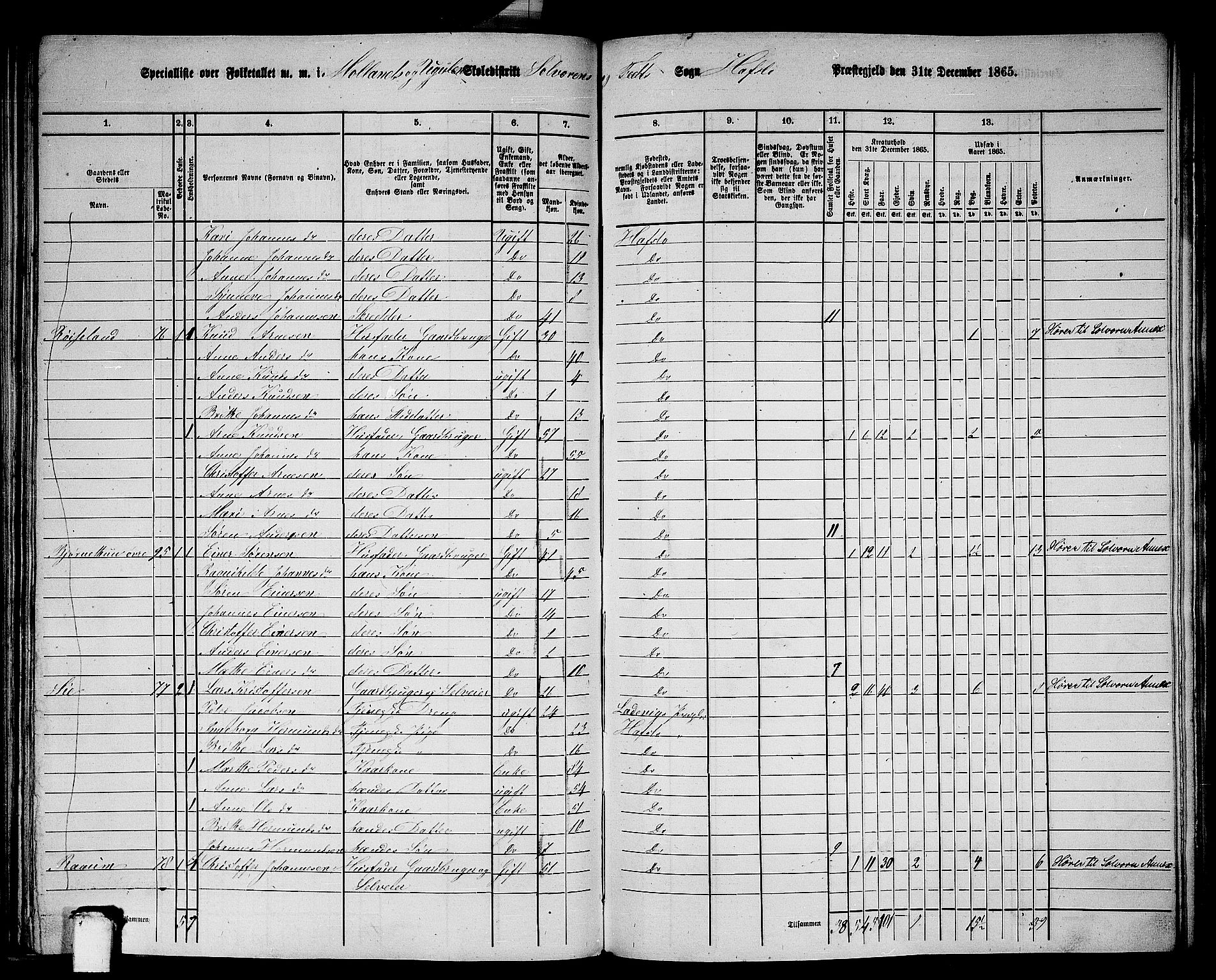 RA, 1865 census for Hafslo, 1865, p. 100