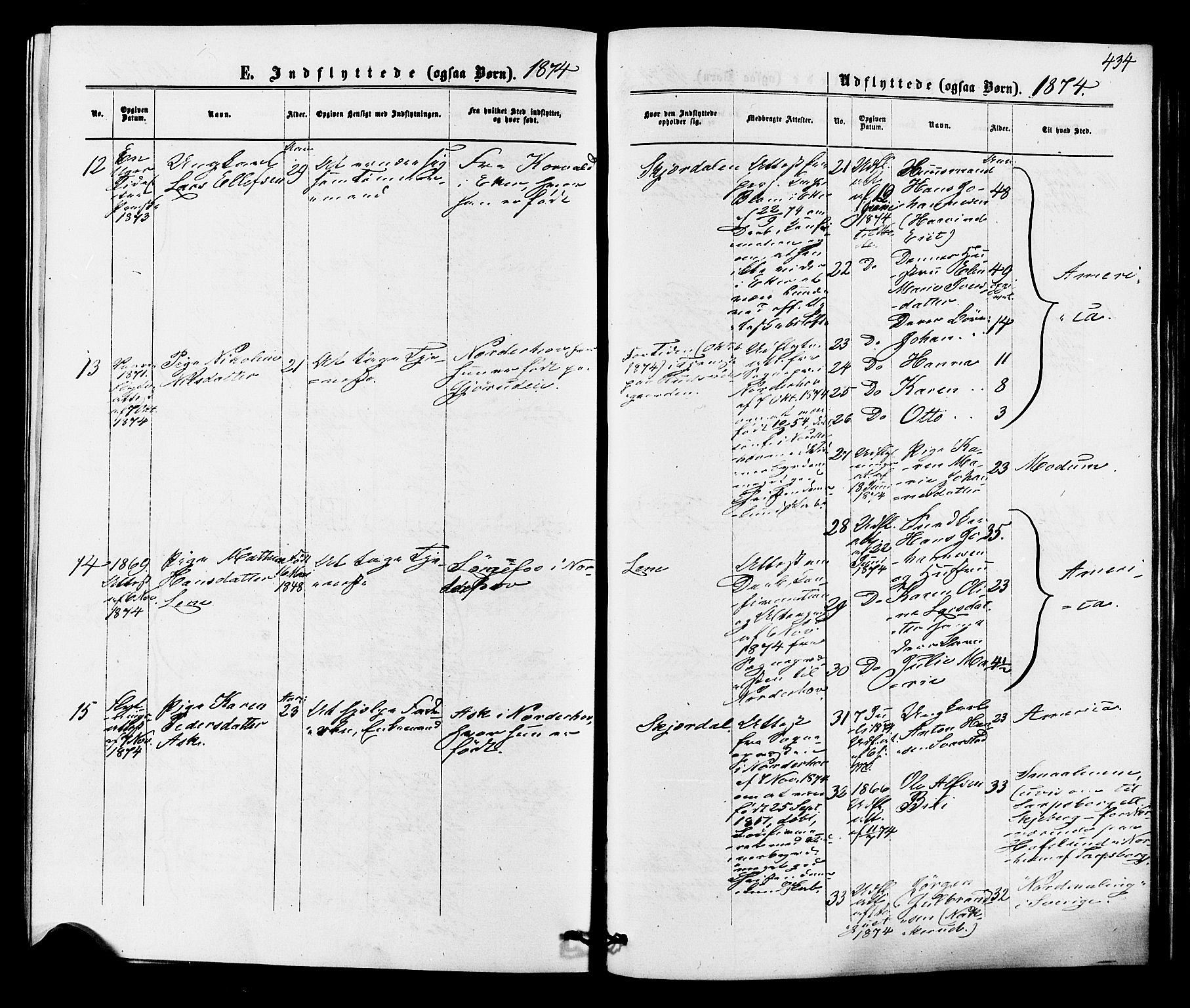 Hole kirkebøker, AV/SAKO-A-228/F/Fa/L0007: Parish register (official) no. I 7, 1873-1877, p. 434