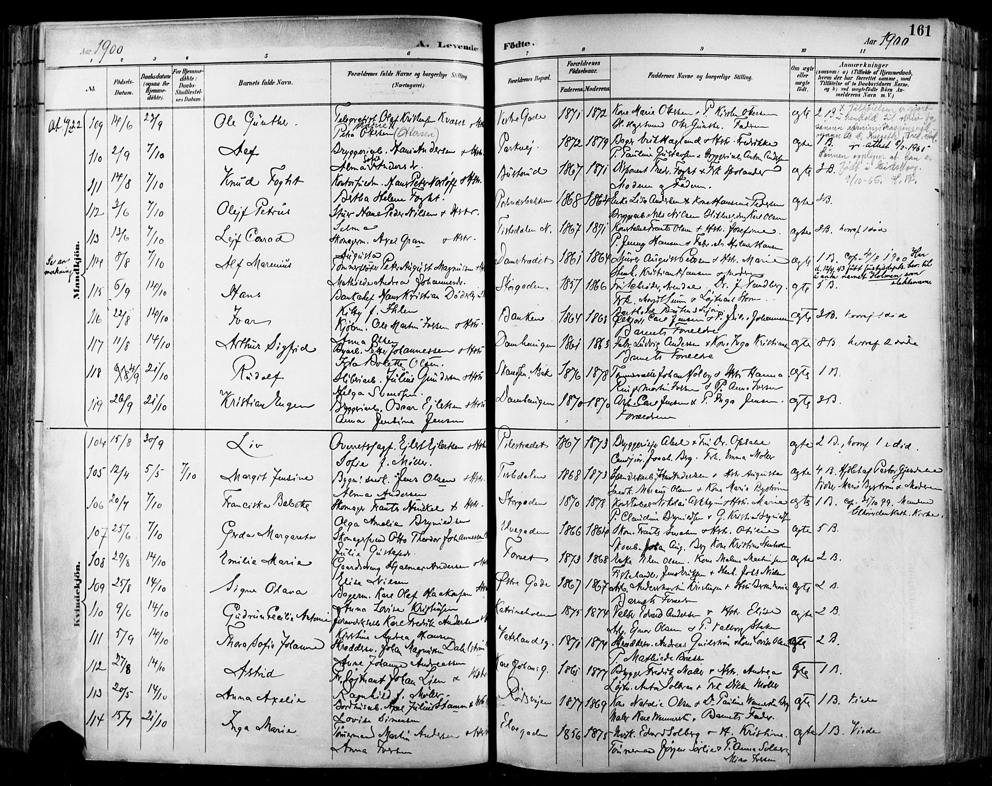 Halden prestekontor Kirkebøker, SAO/A-10909/F/Fa/L0013: Parish register (official) no. I 13, 1890-1906, p. 161