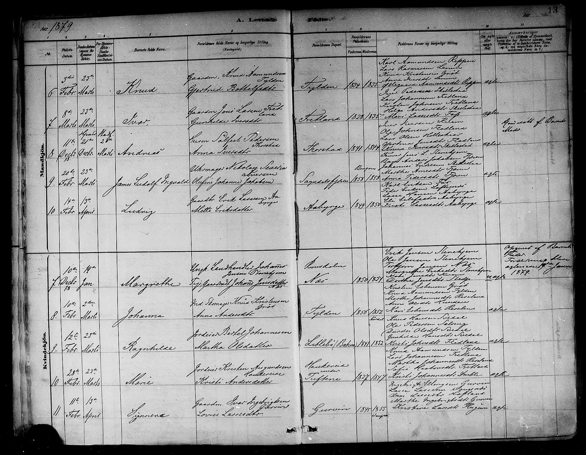 Sogndal sokneprestembete, AV/SAB-A-81301/H/Haa/Haab/L0001: Parish register (official) no. B 1, 1878-1899, p. 13