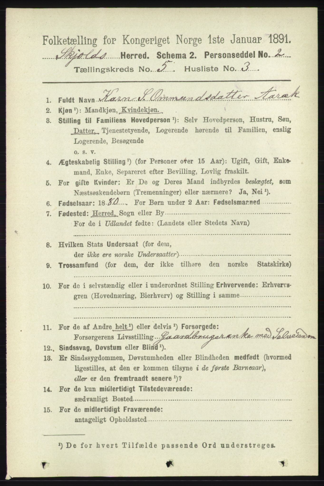 RA, 1891 census for 1154 Skjold, 1891, p. 778