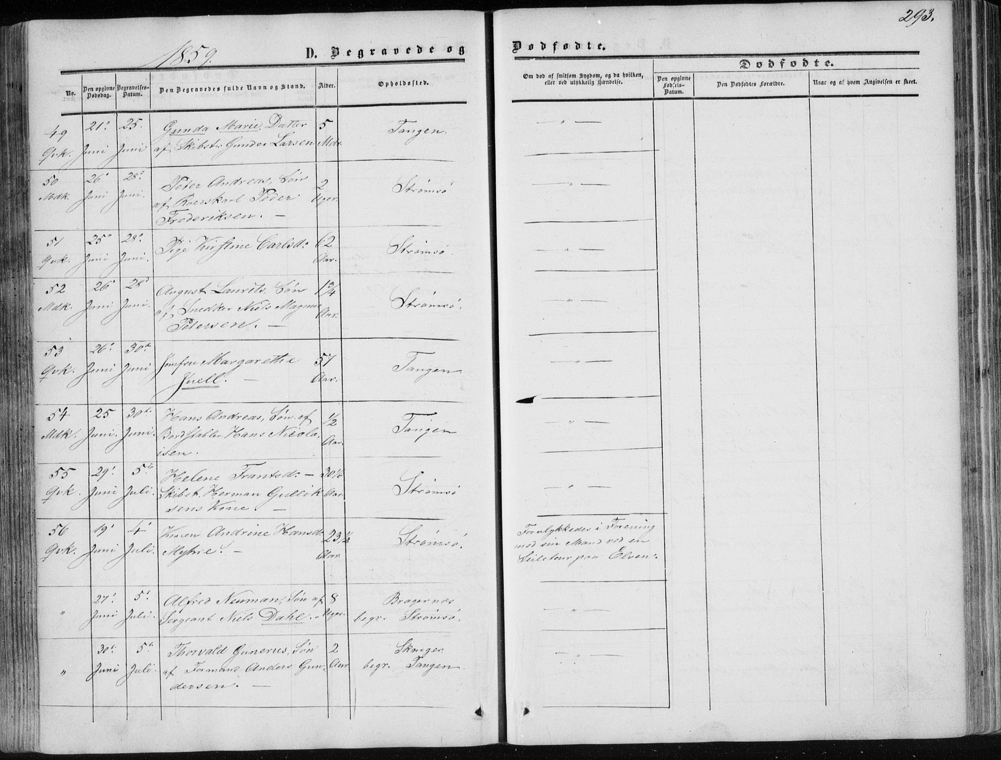 Strømsø kirkebøker, AV/SAKO-A-246/F/Fa/L0015: Parish register (official) no. I 15, 1859-1868, p. 293